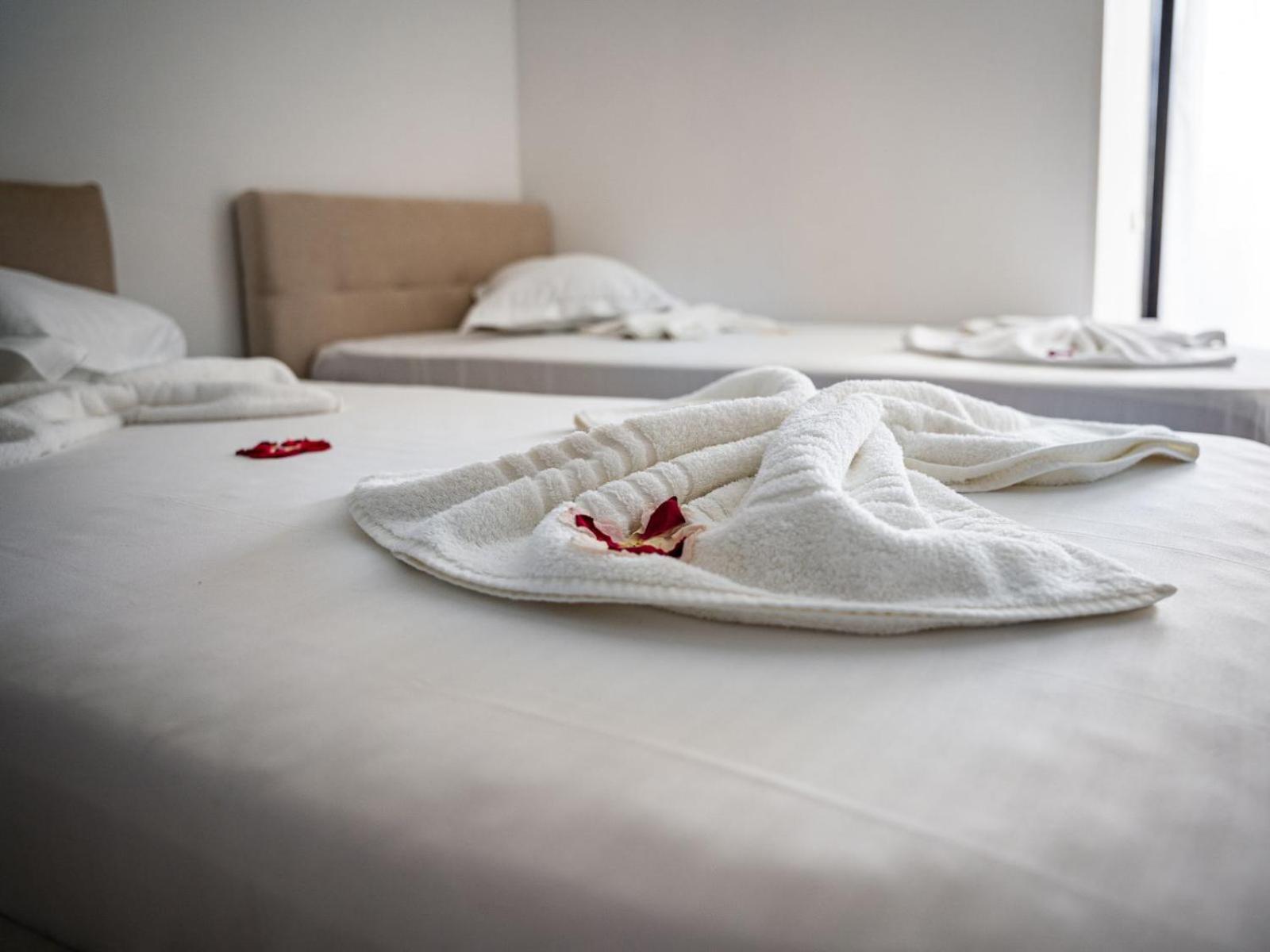 Double Or Twin Room photo 2