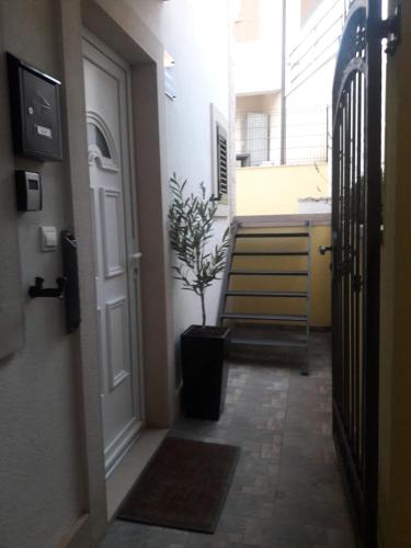 Apartment with Terrace photo 2