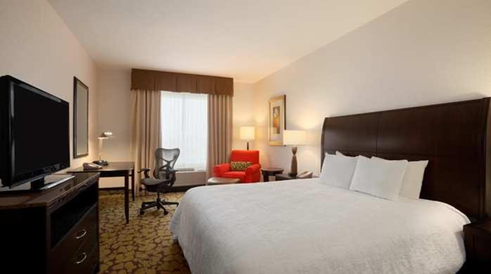King Room - Photo 6