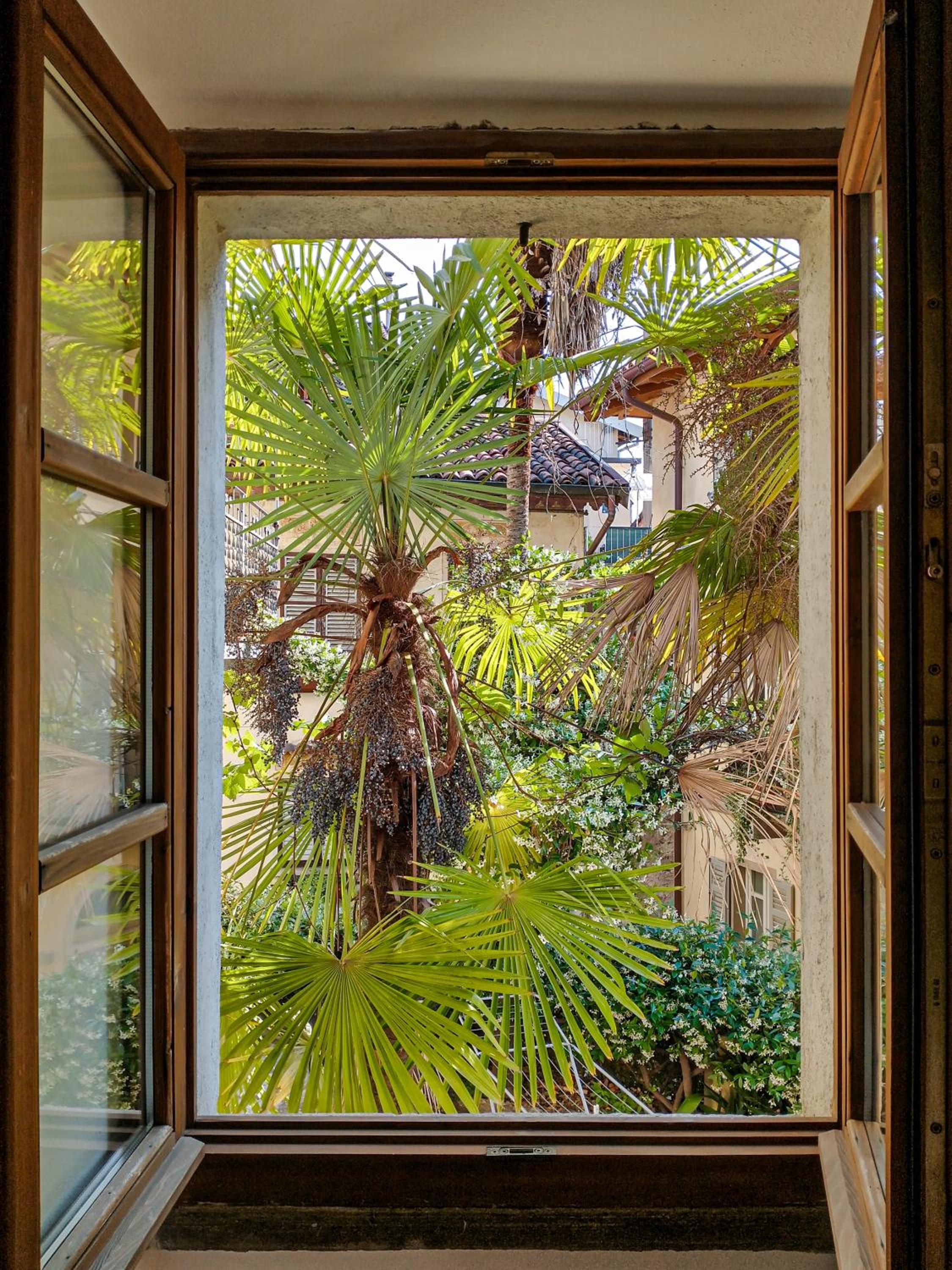One-Bedroom House photo 3