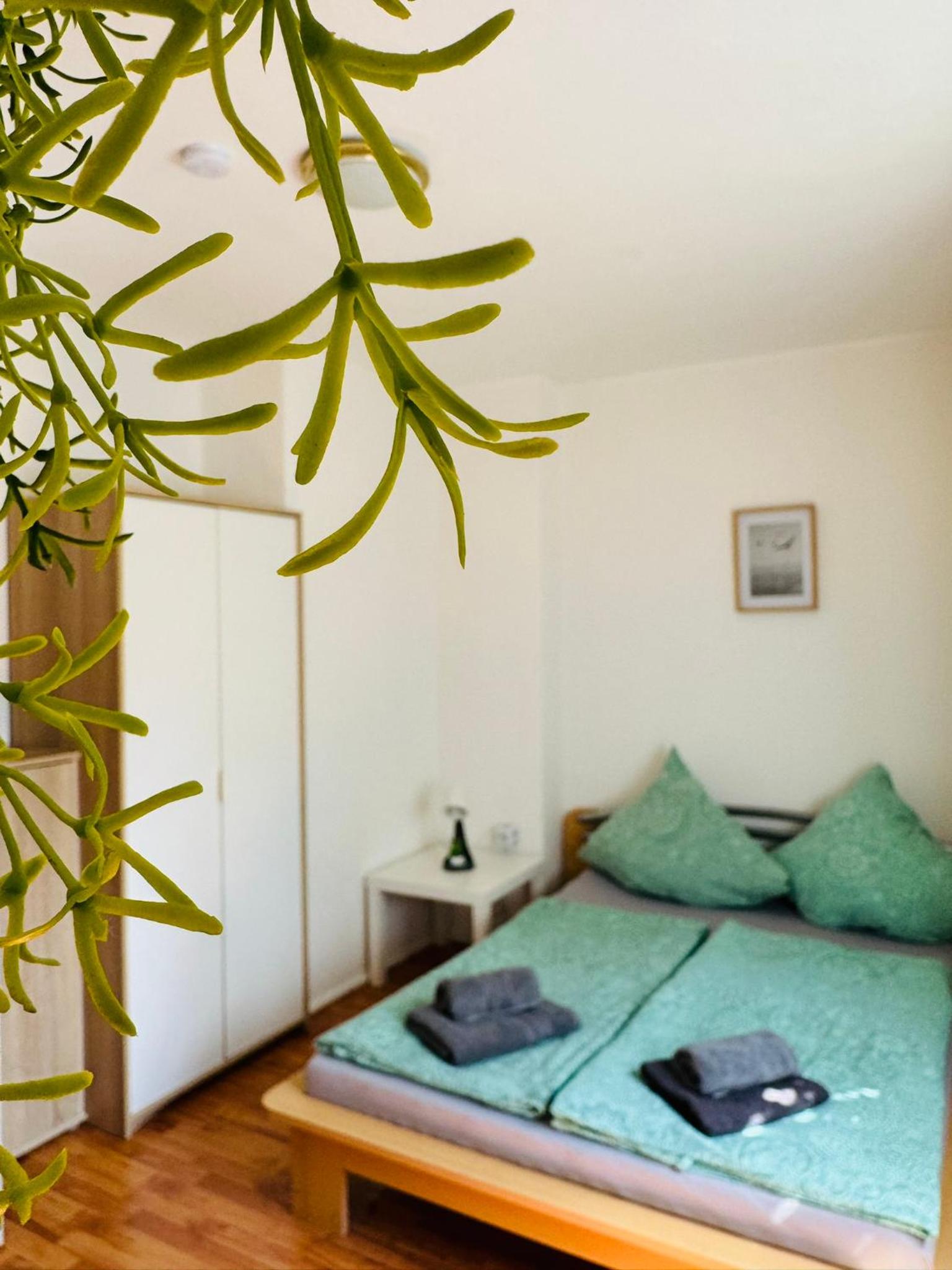 One-Bedroom Apartment photo 3