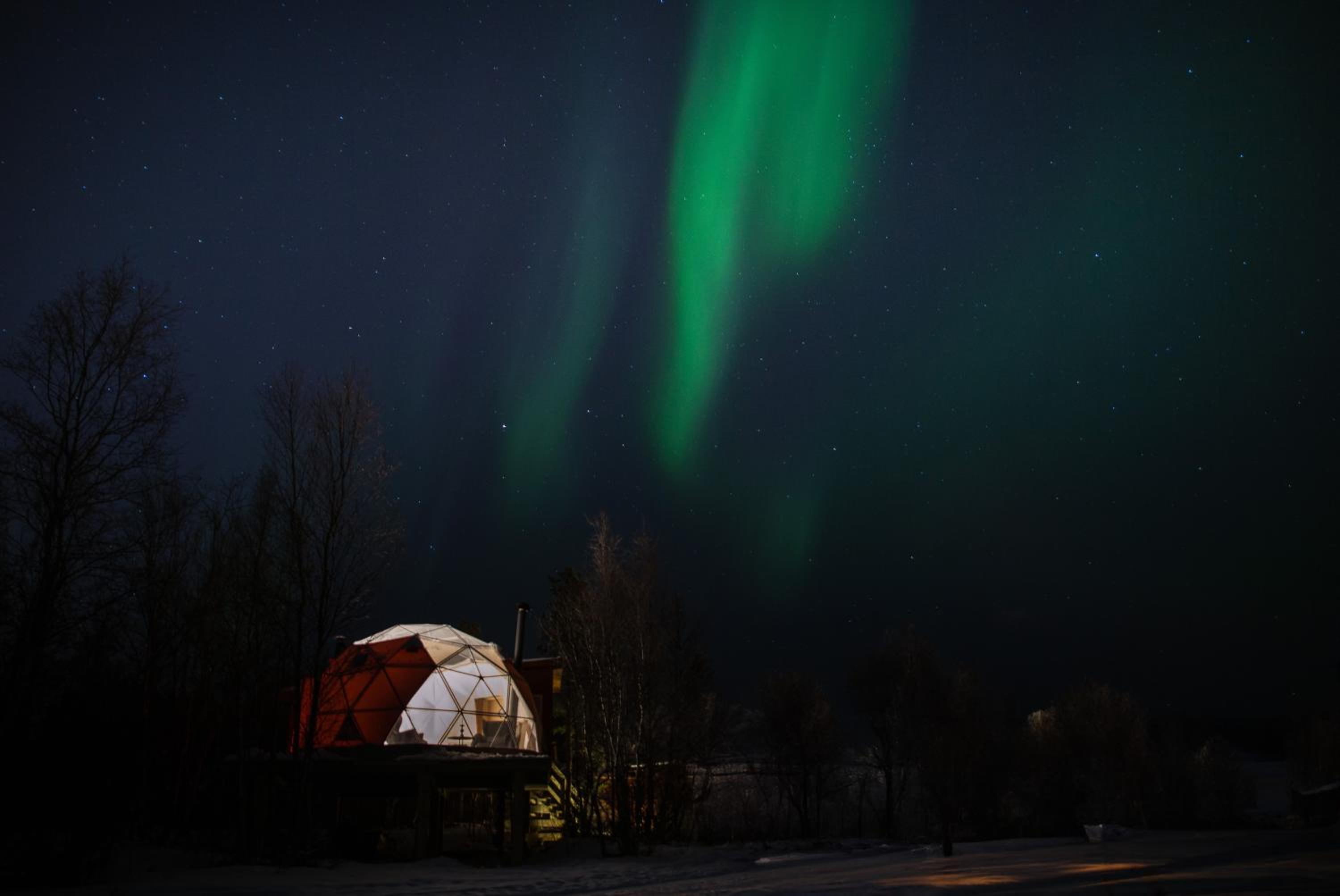 Aurora Igloo photo 3
