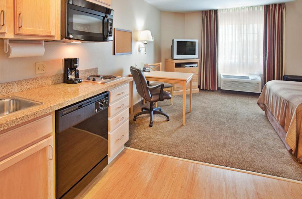 Studio Suite - Photo 4