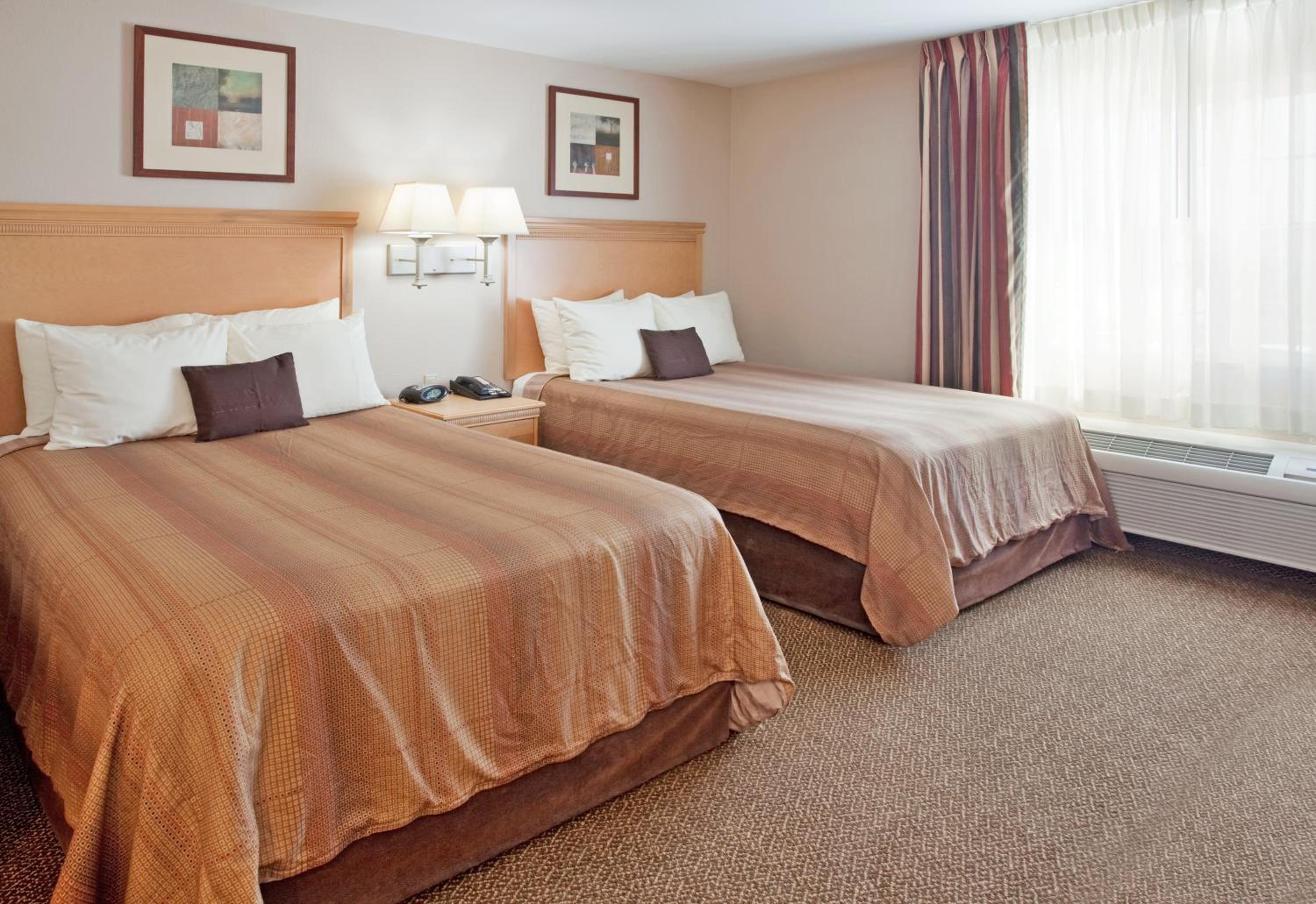 Studio Suite with Two Double Beds - Photo 2