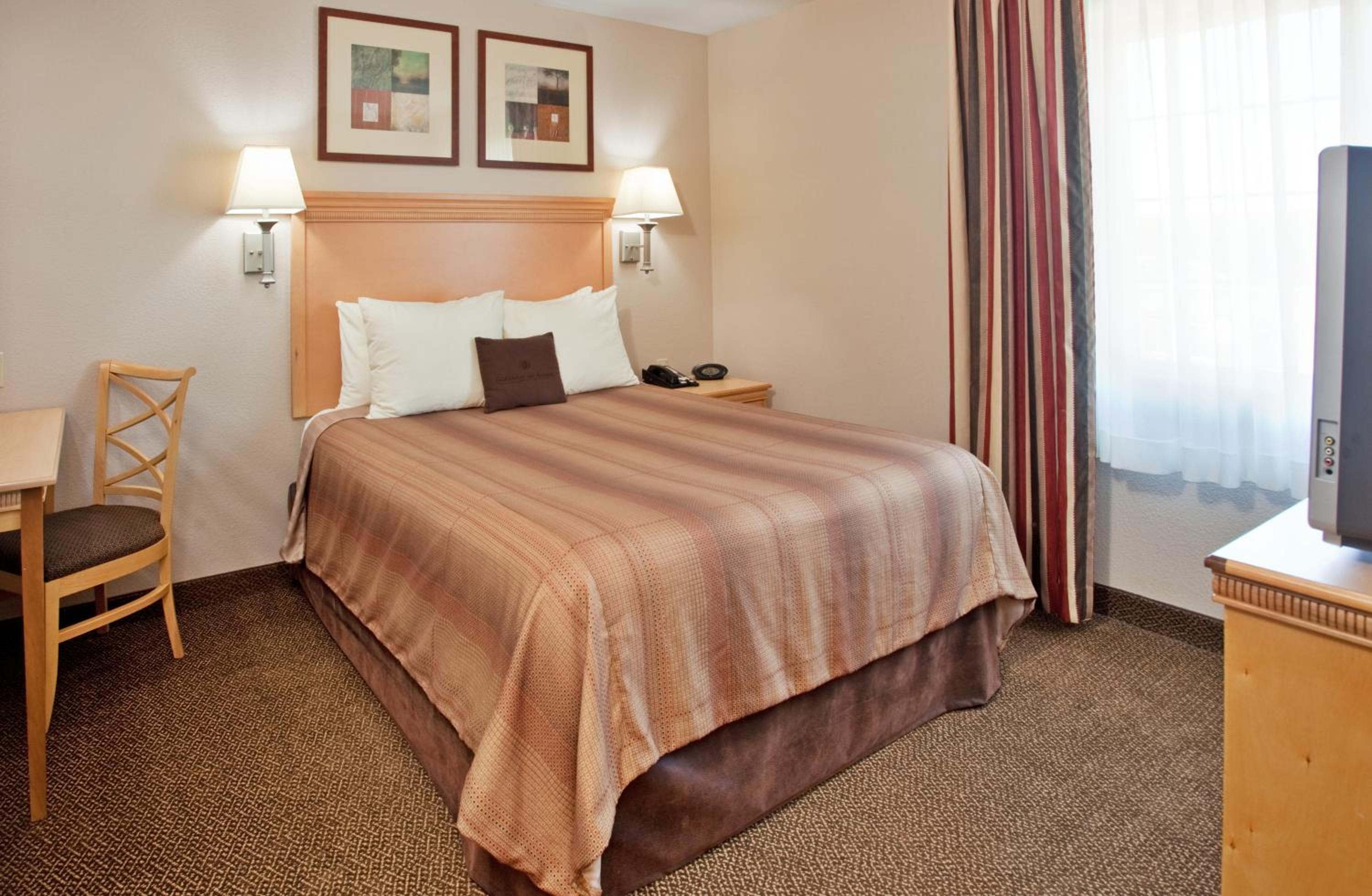 One-Bedroom Queen Suite - Photo 4