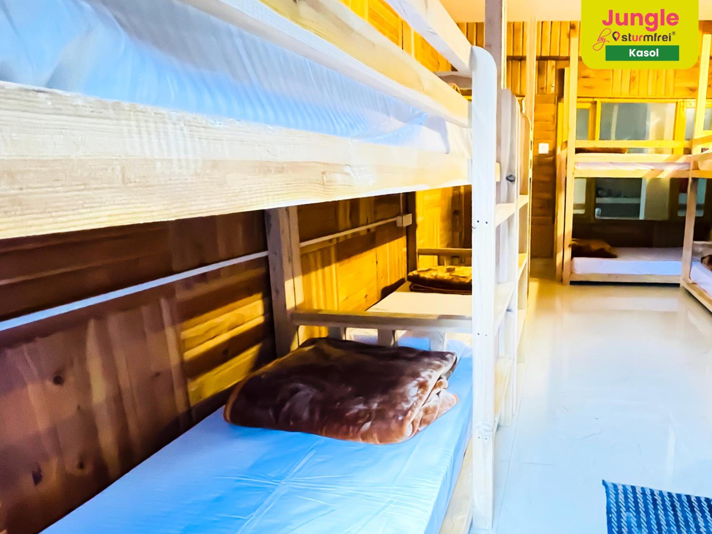Bed in 6-Bed Mixed Dormitory Room photo 3