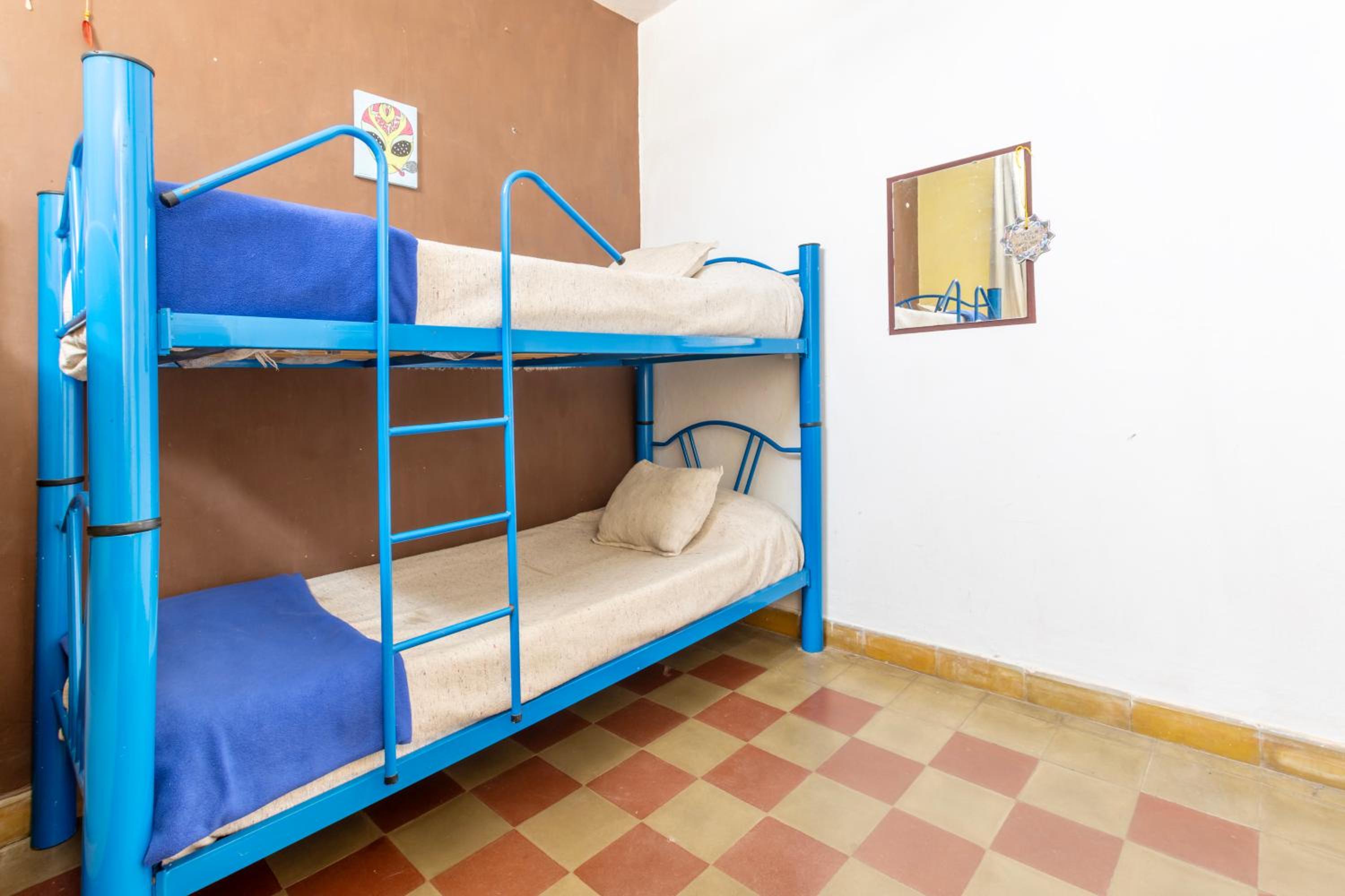 Single Bed in Mixed Dormitory Room photo 3