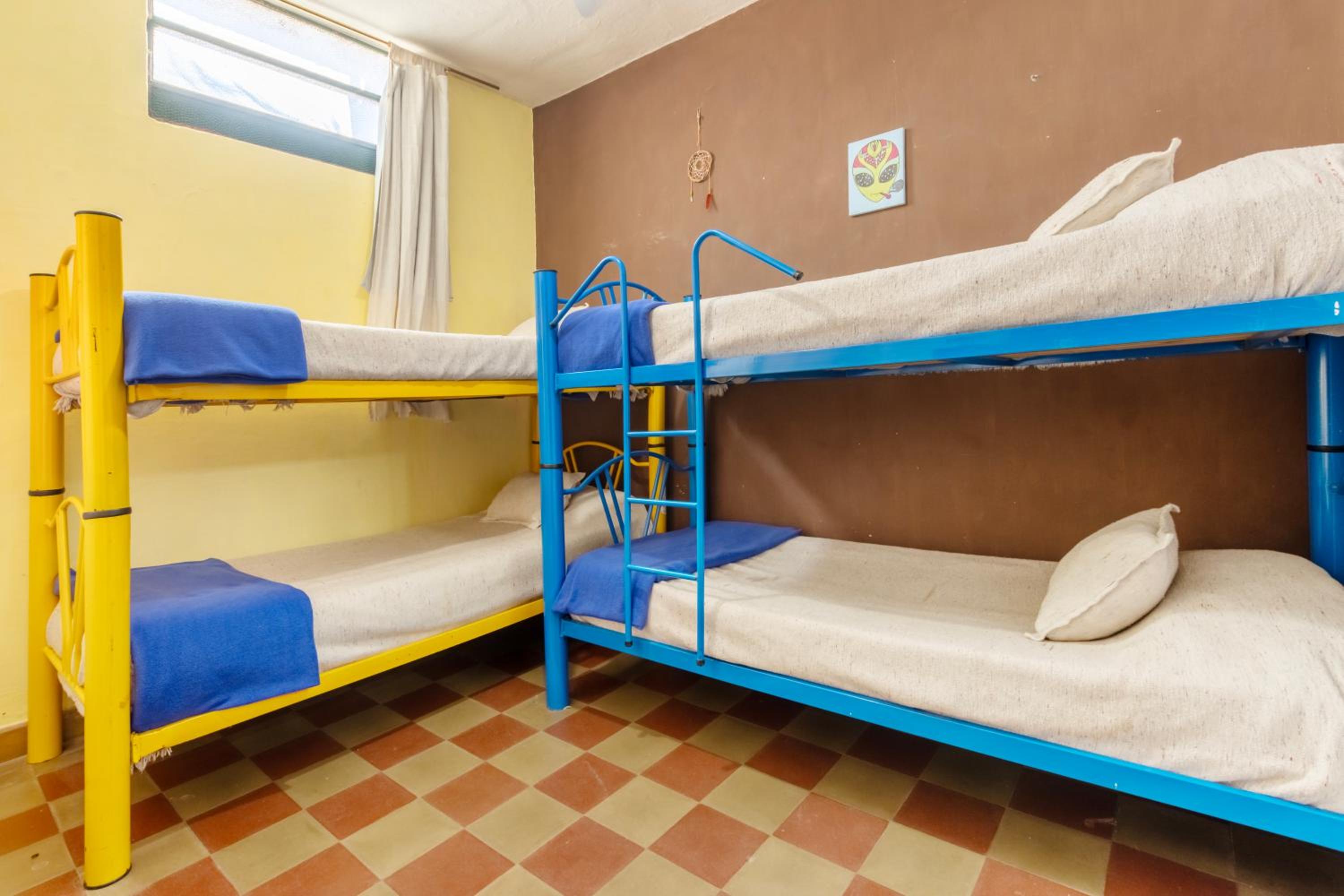 Single Bed in Mixed Dormitory Room photo 2