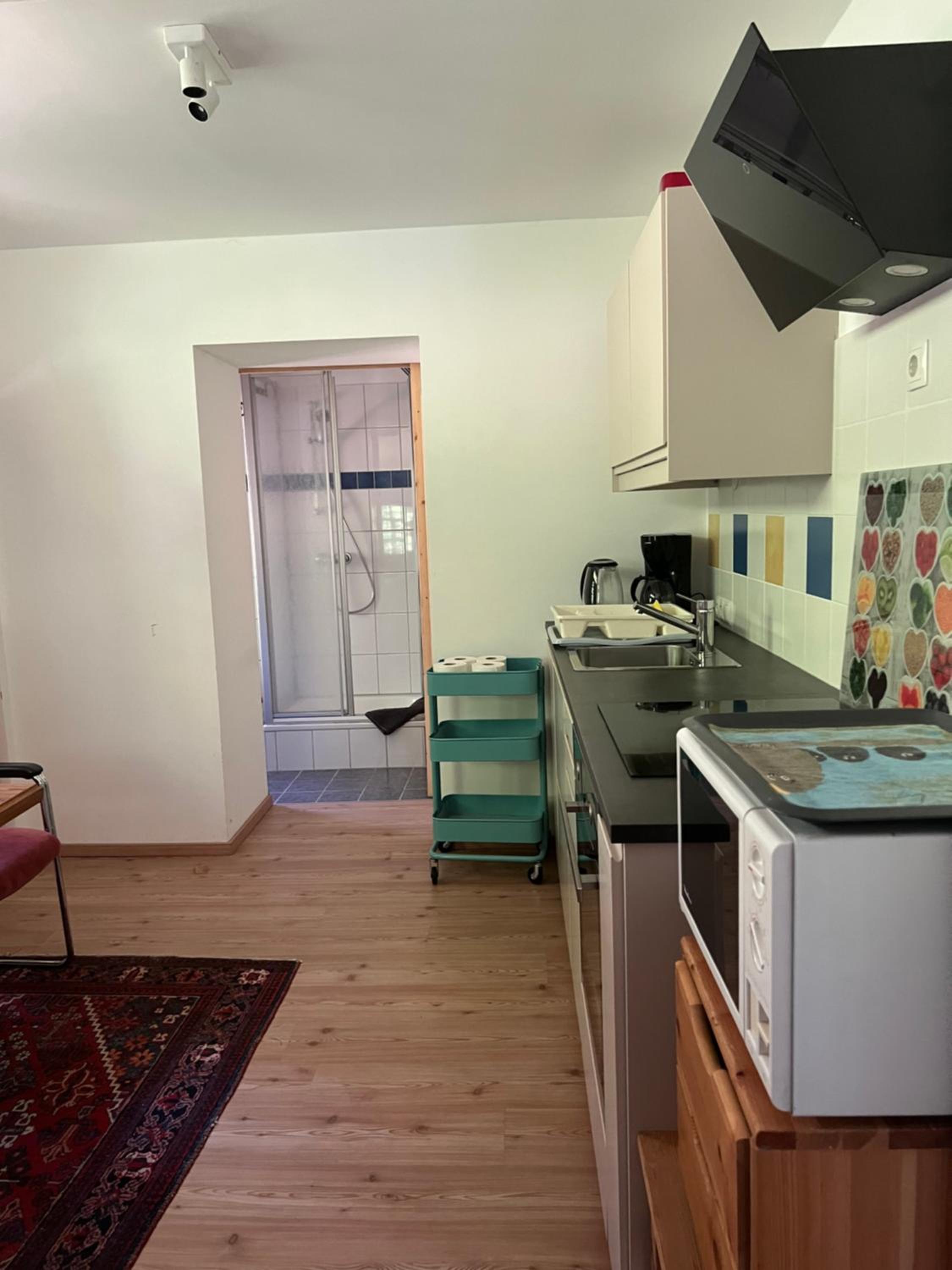 Studio Apartment photo 2