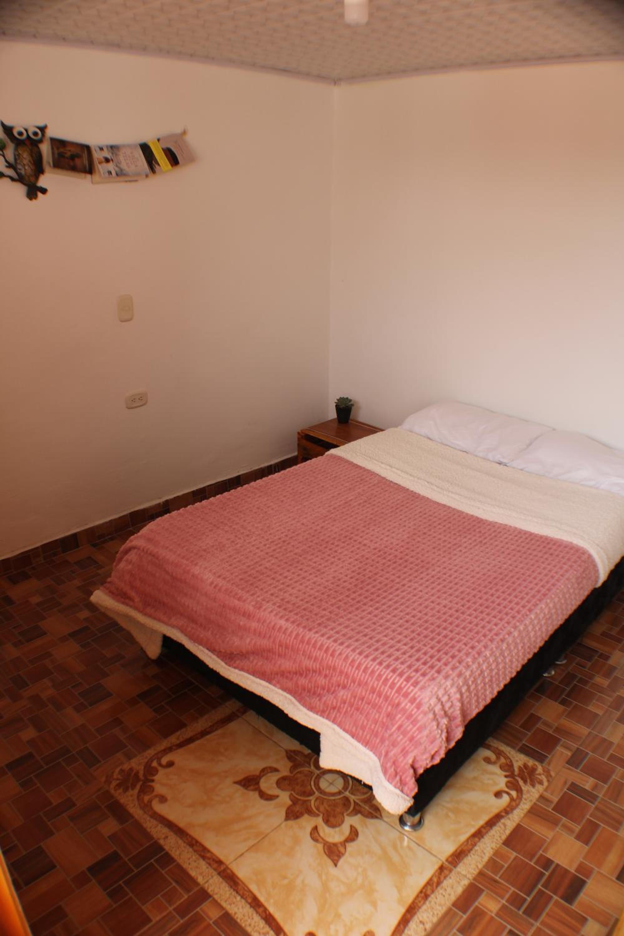 Standard Twin Room photo 2