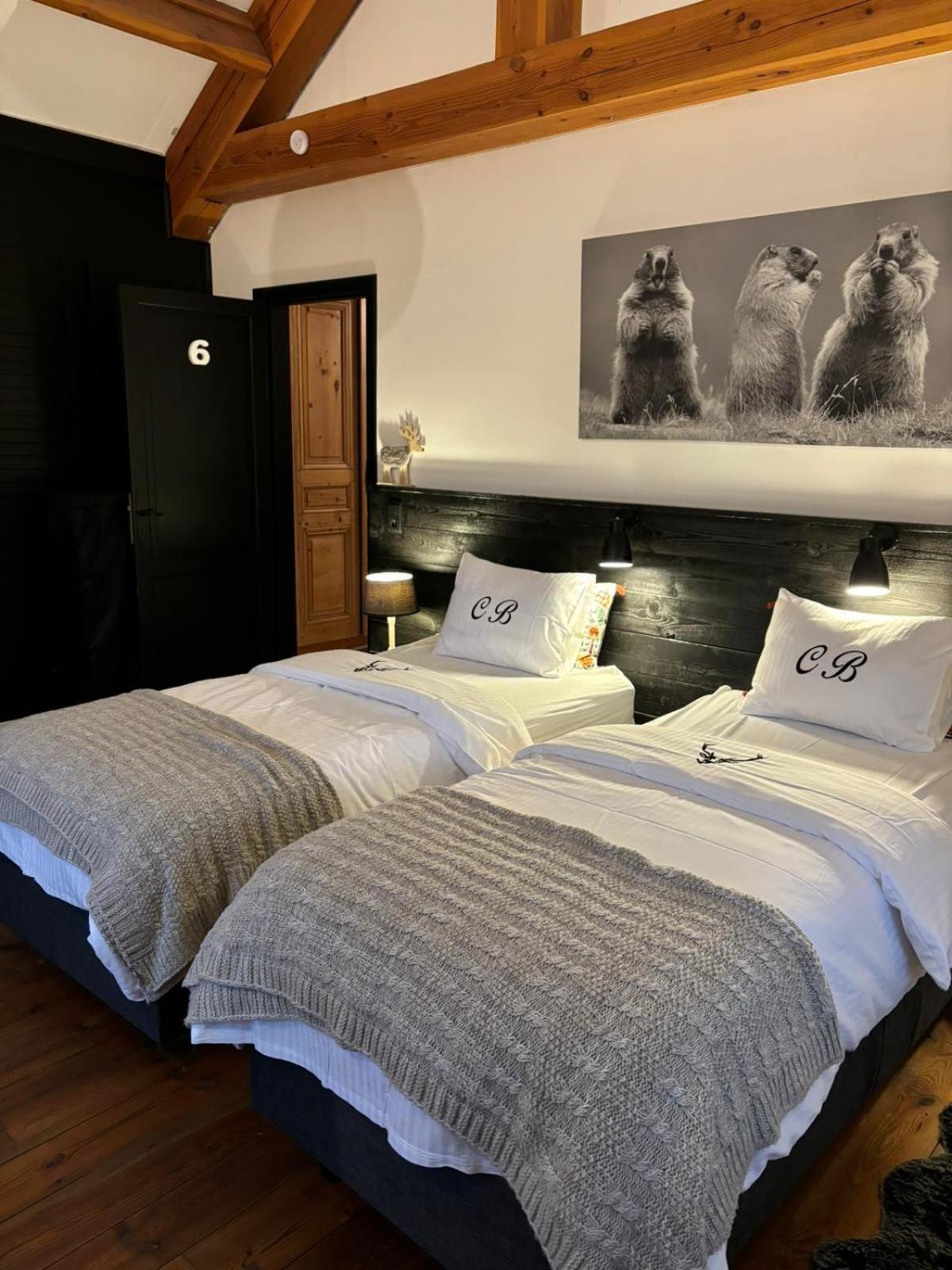 Deluxe Double or Twin Room photo 1