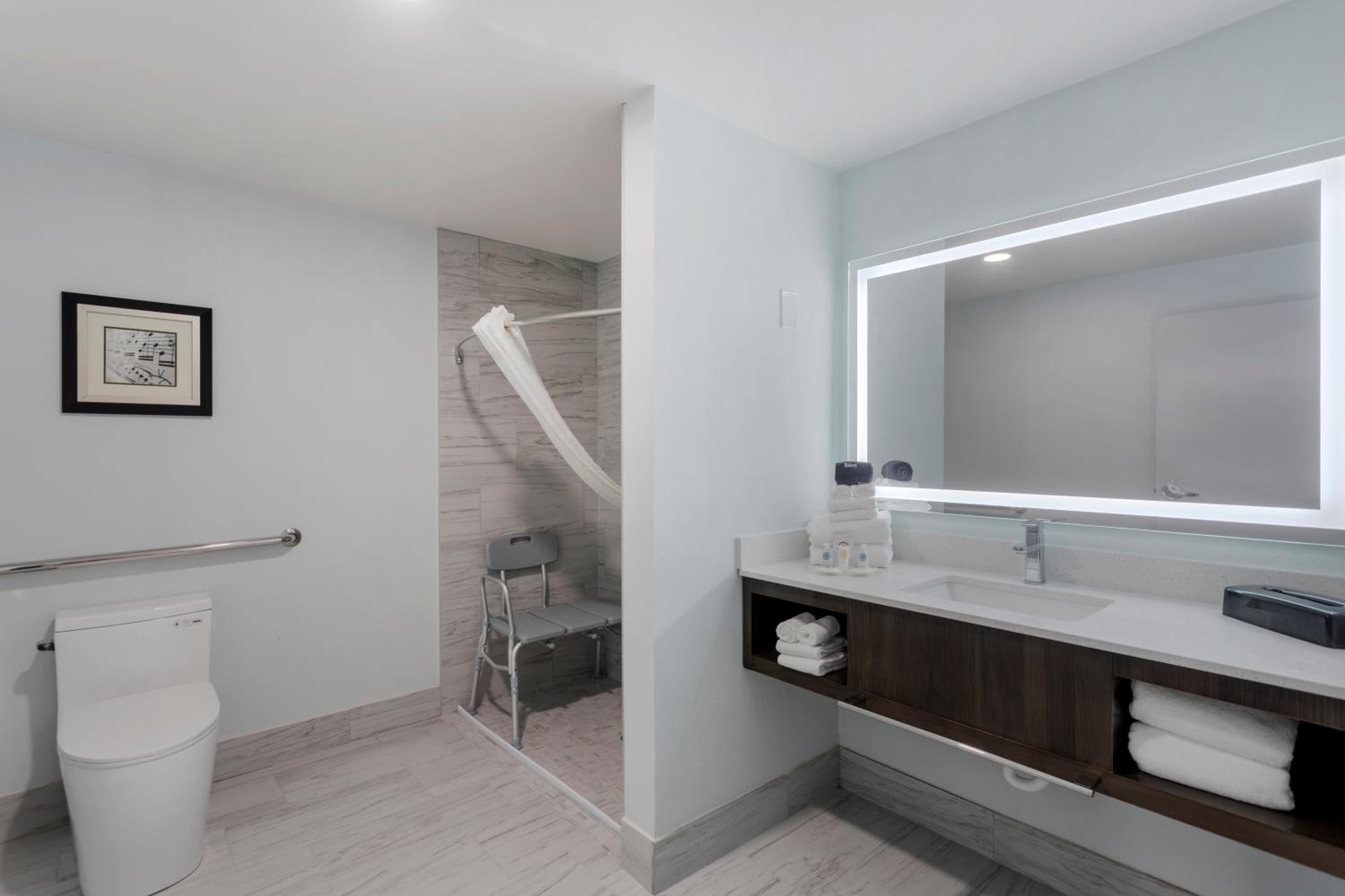 King Suite with Roll-In Shower - Accessible/Non-Smoking - Photo 3