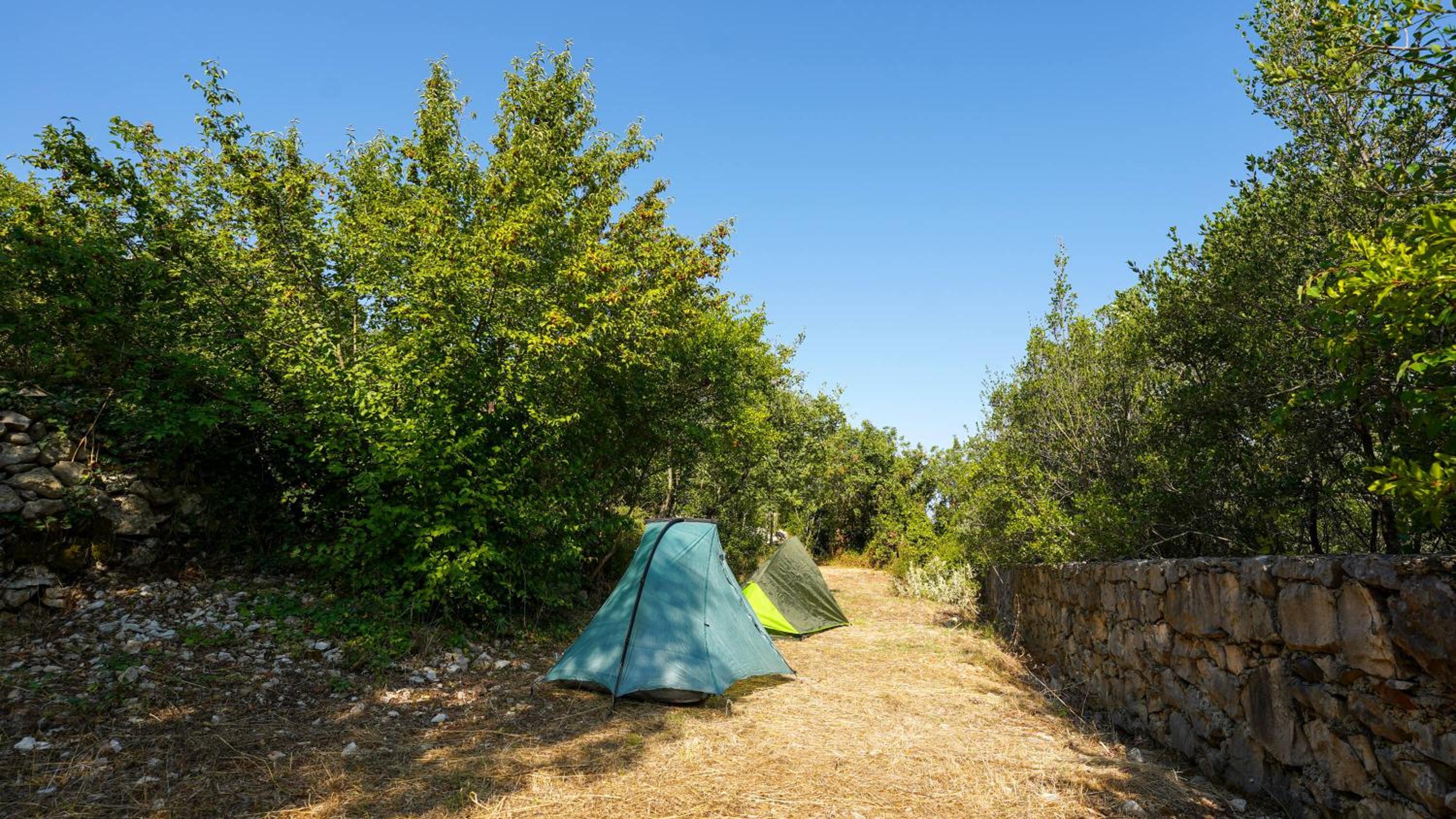 Tent