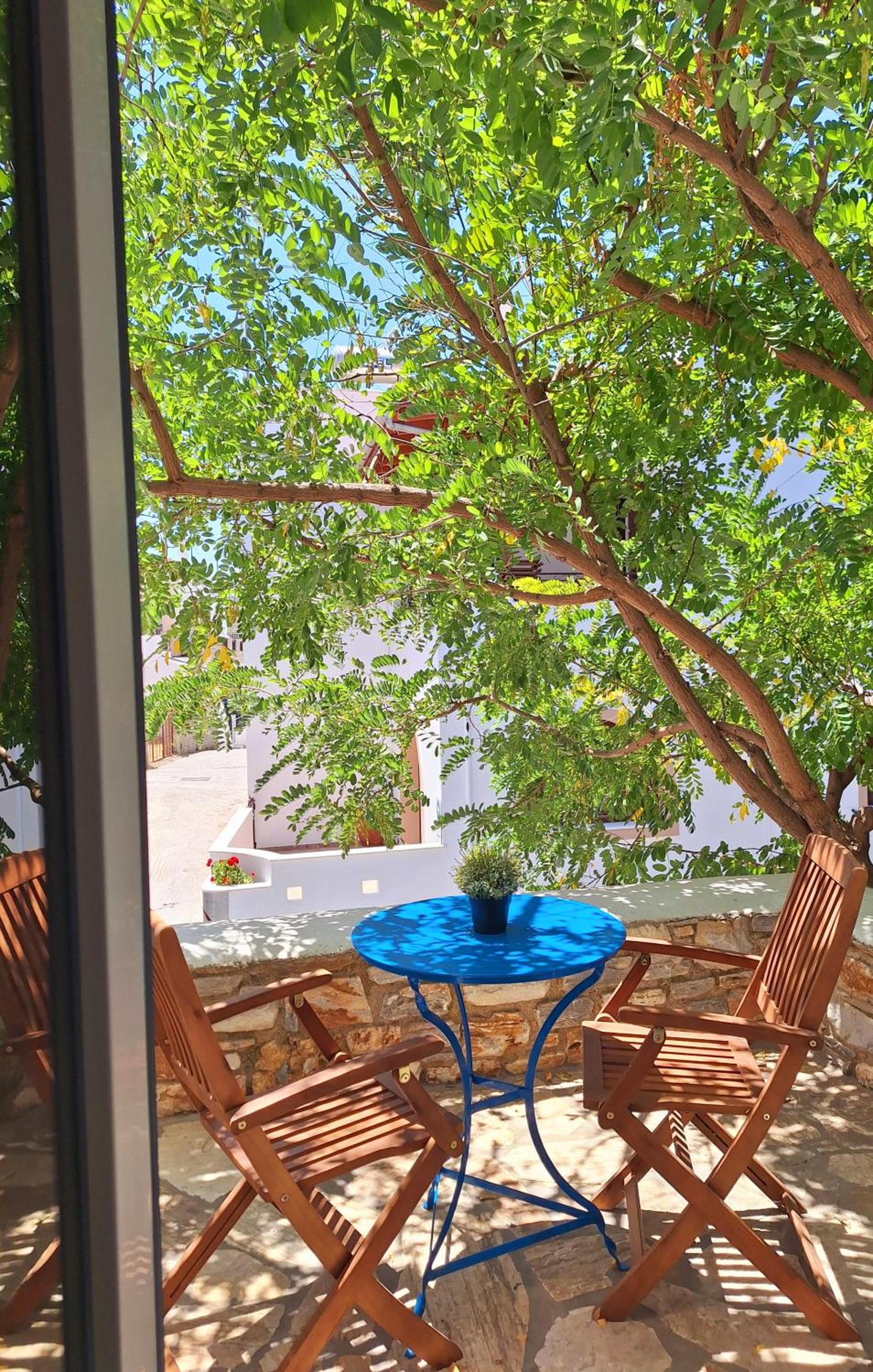 Apartment with Terrace photo 3