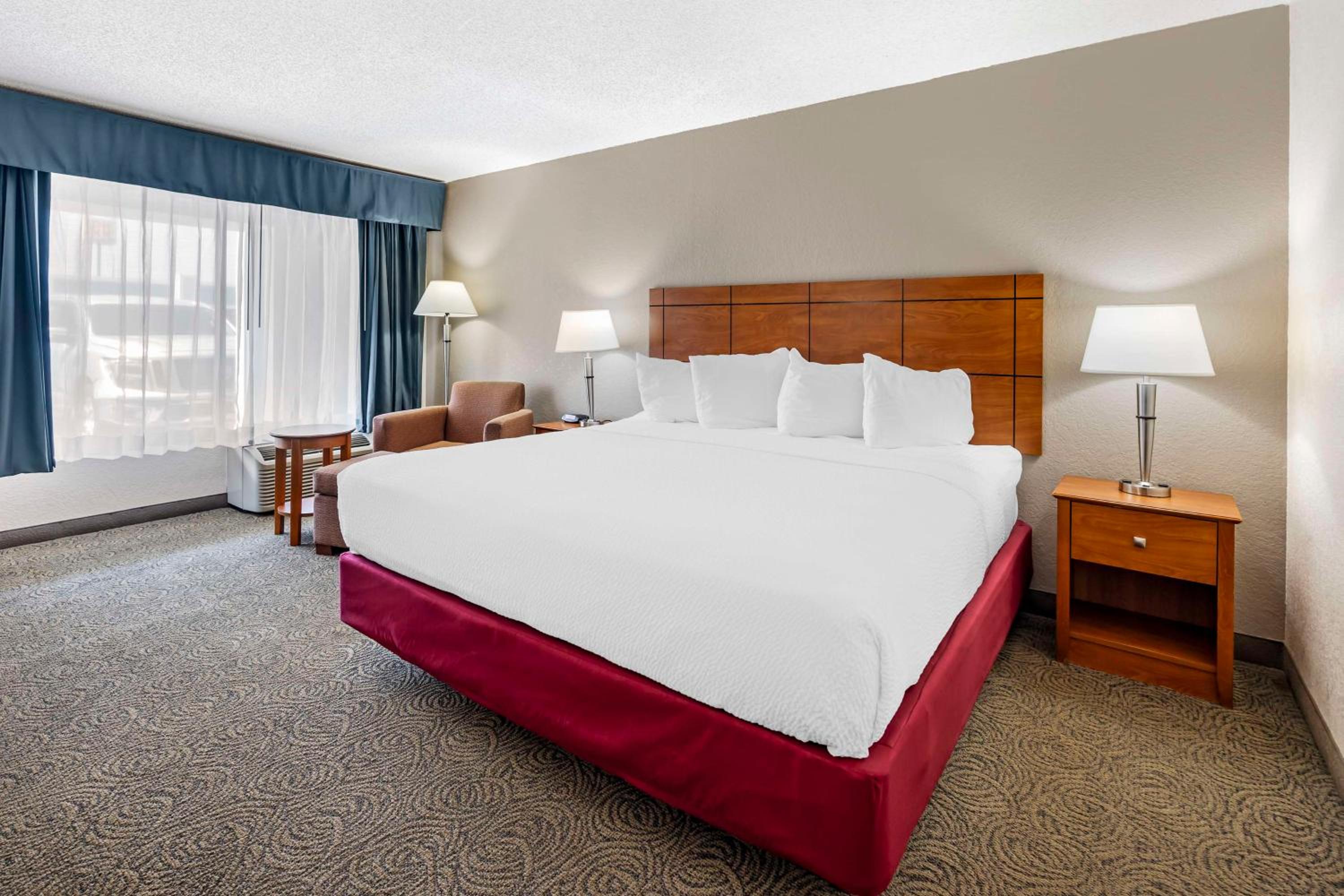 King Room - Pet-Friendly photo 1