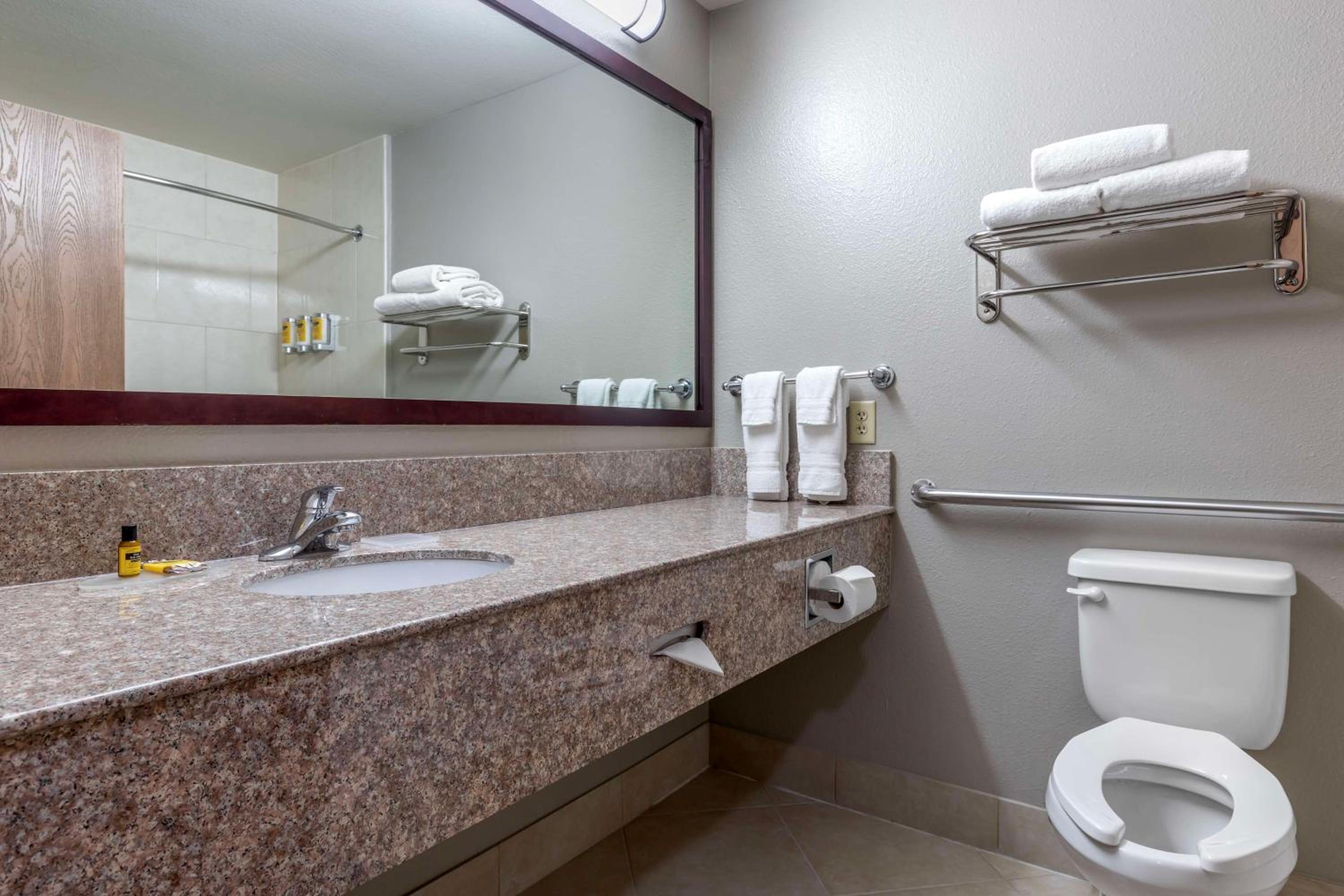 King Suite - Disability Access - Photo 3