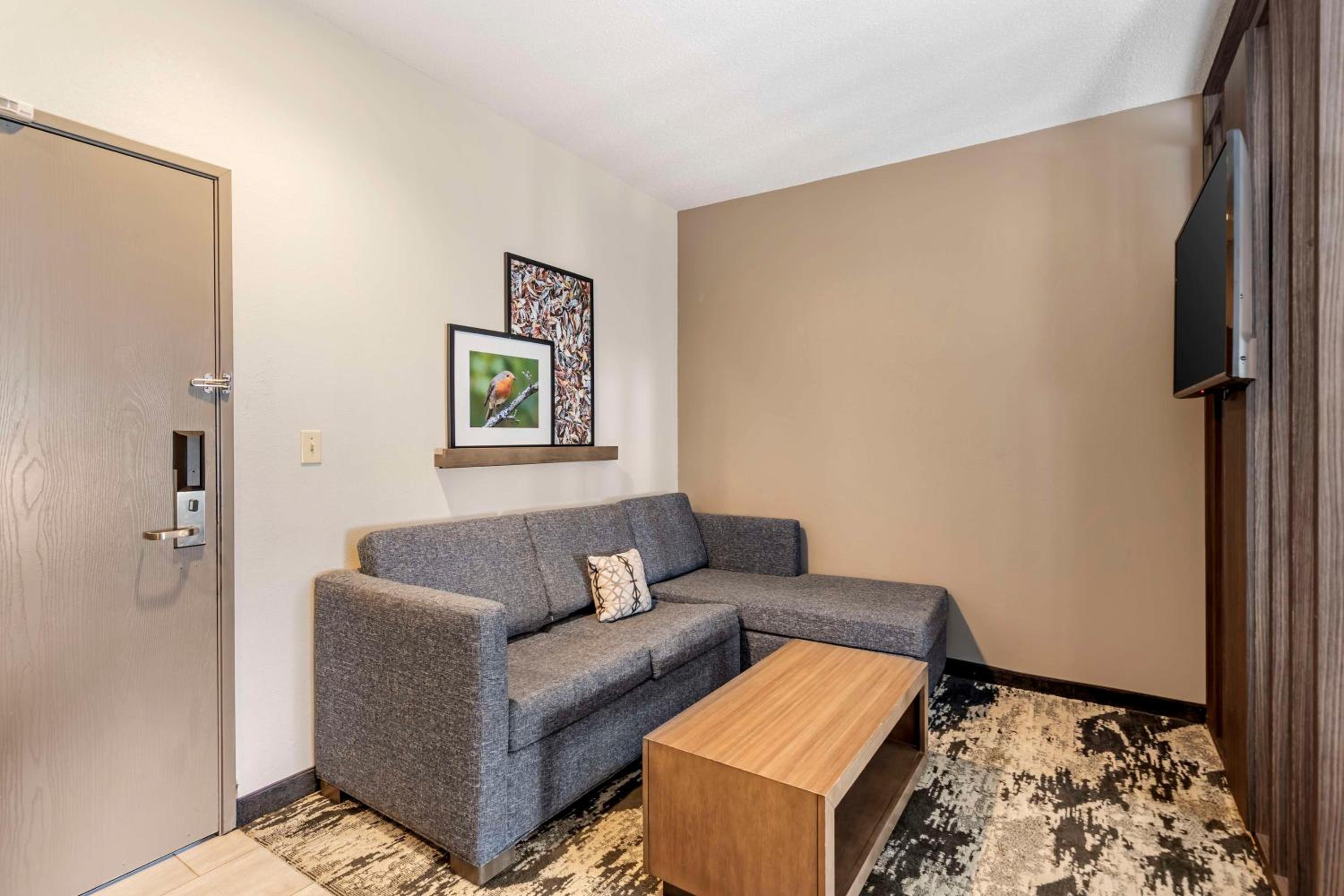 King Suite with Sofa Bed - Photo 2