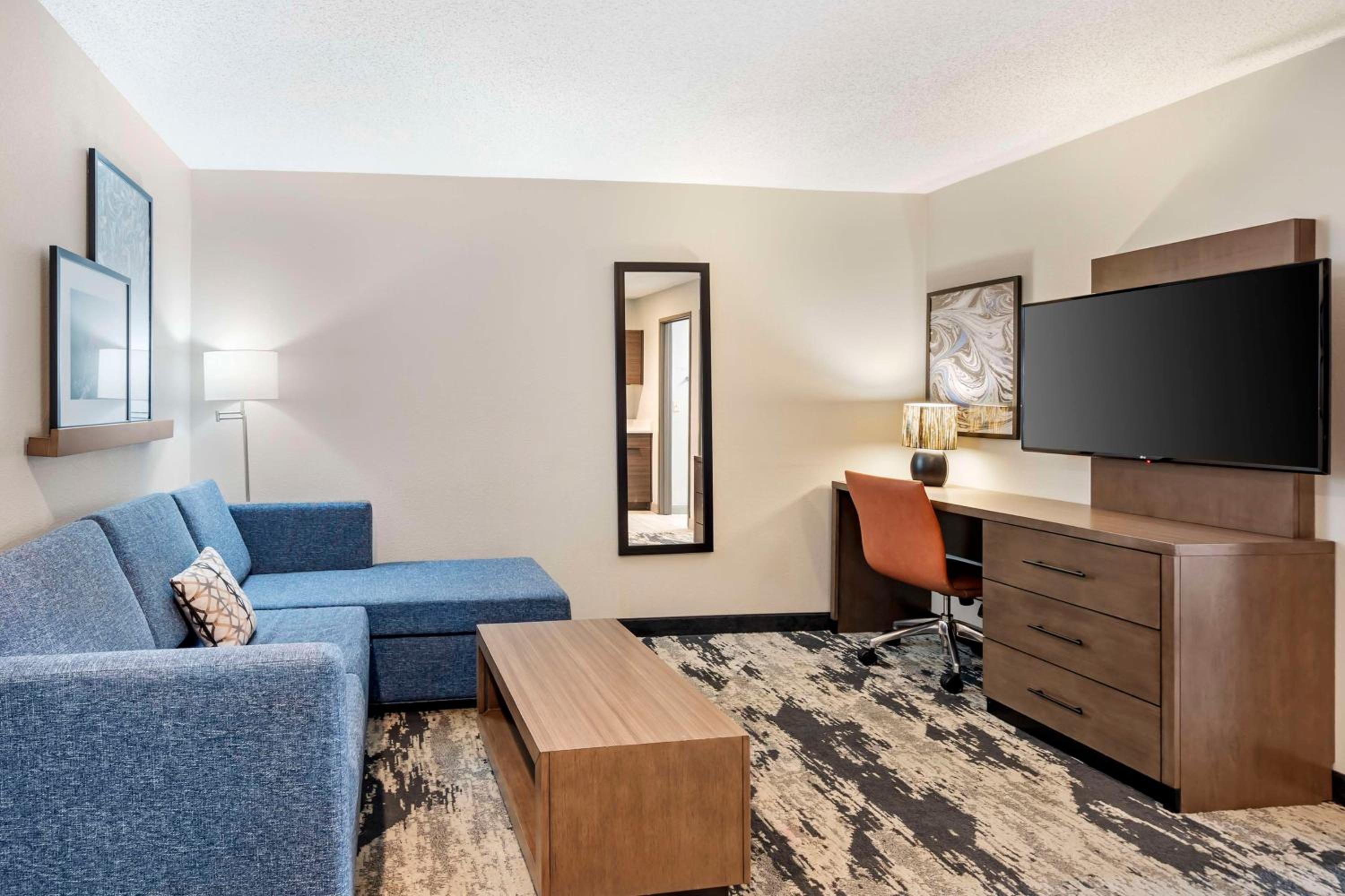 King Suite with Sofa Bed and Full Kitchen - Photo 4