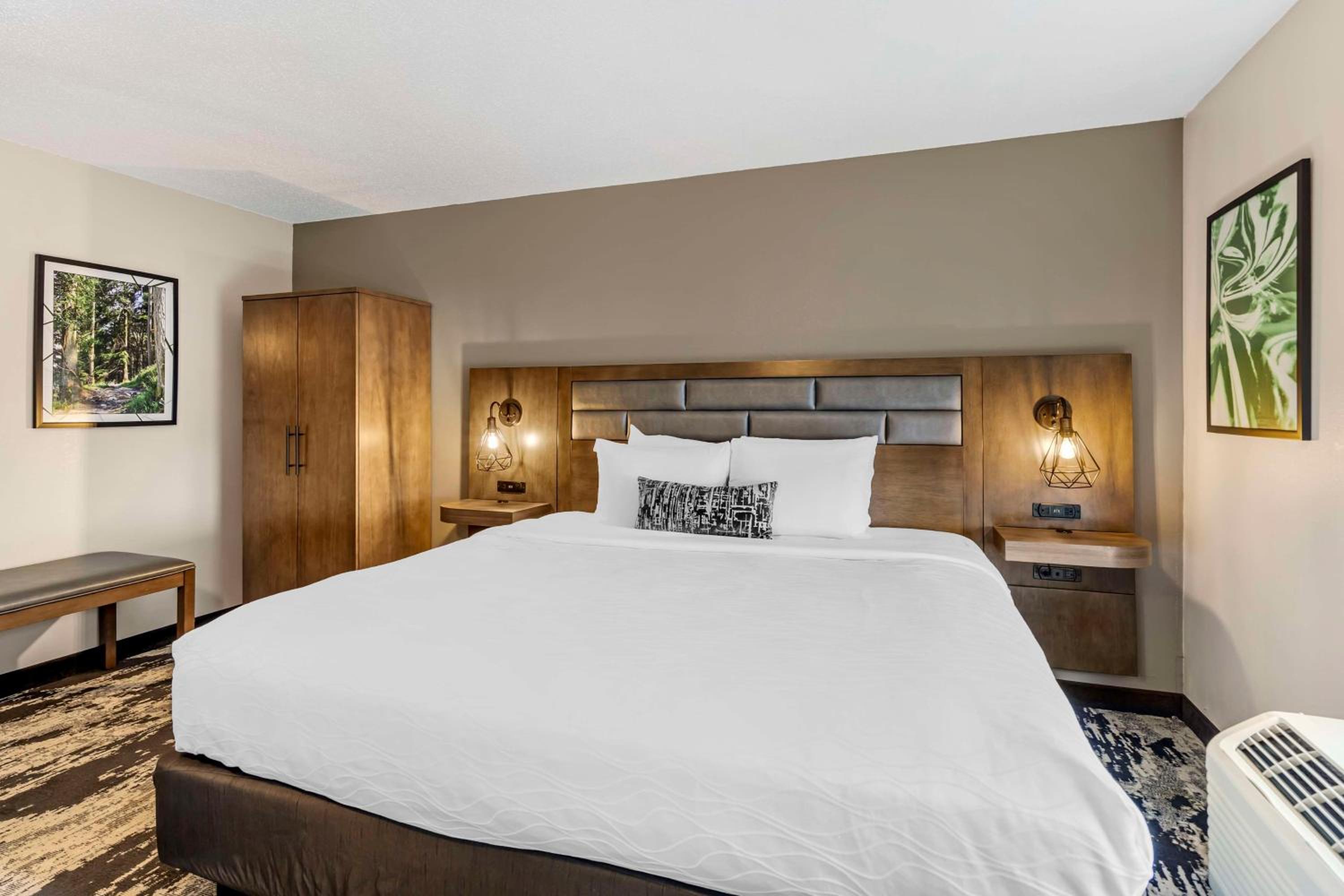 King Suite with Sofa Bed and Full Kitchen - Photo 5