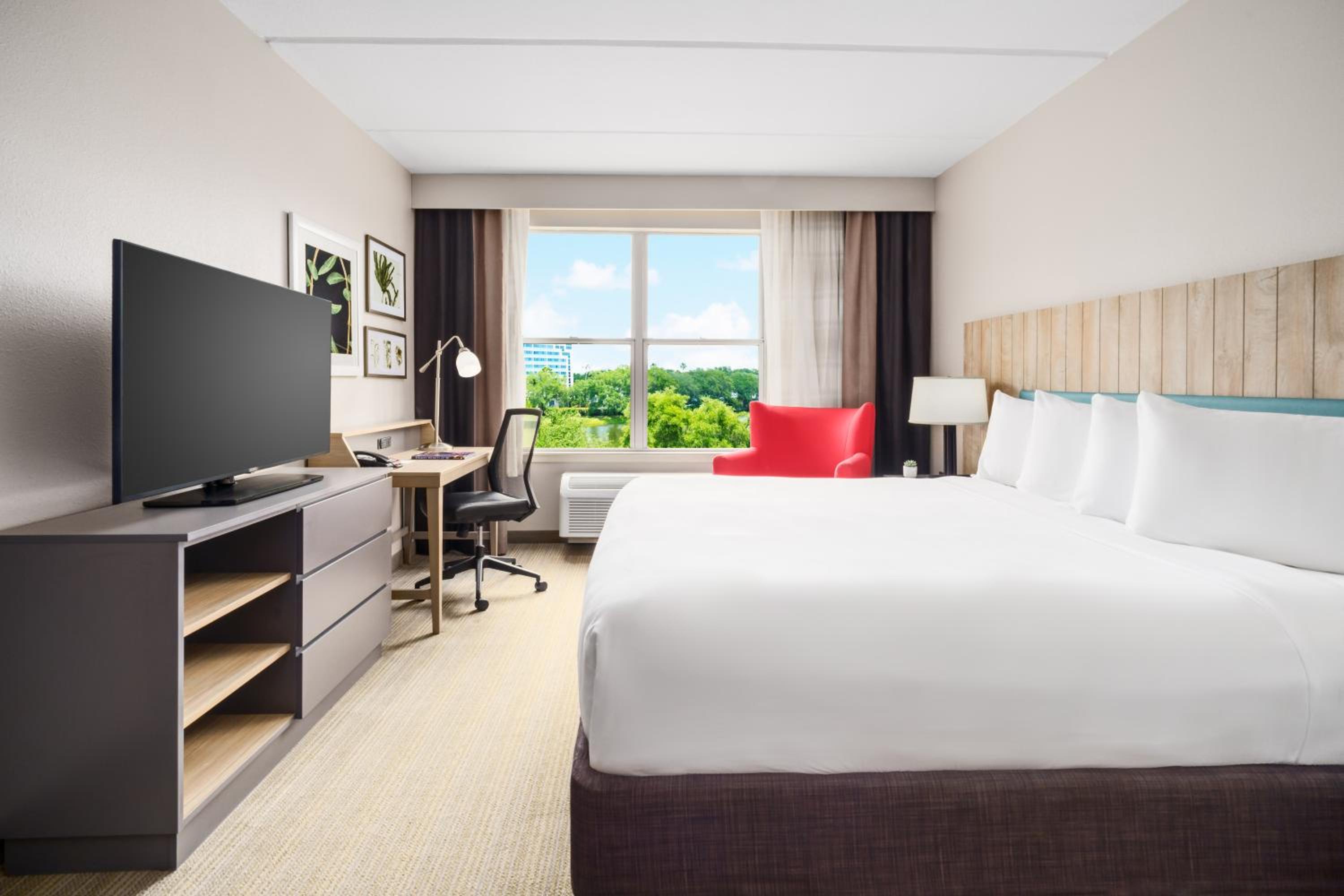 One-Bedroom King Suite