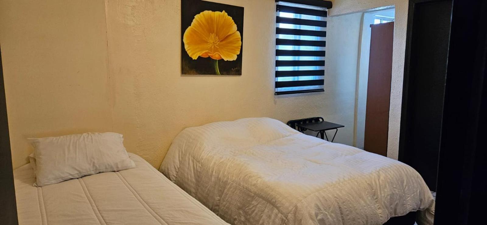 Apartment - Photo 14