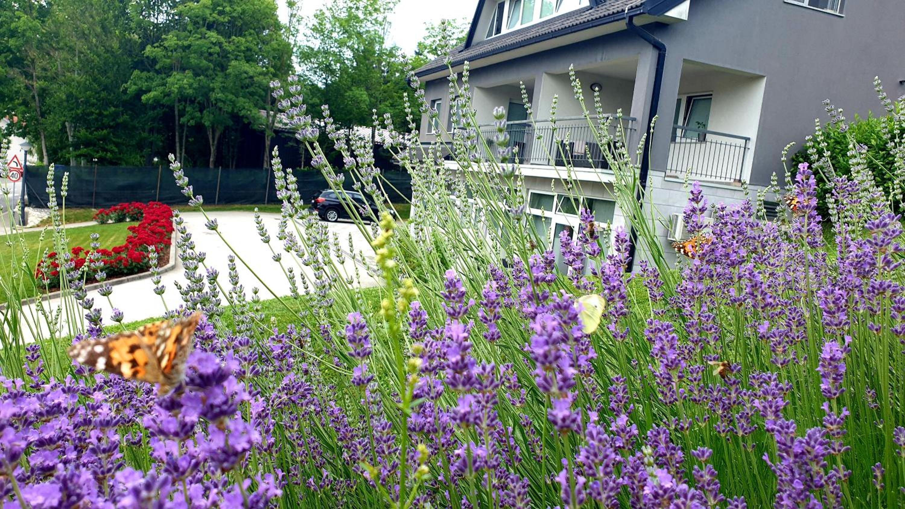 Studio with Terrace - Photo 8