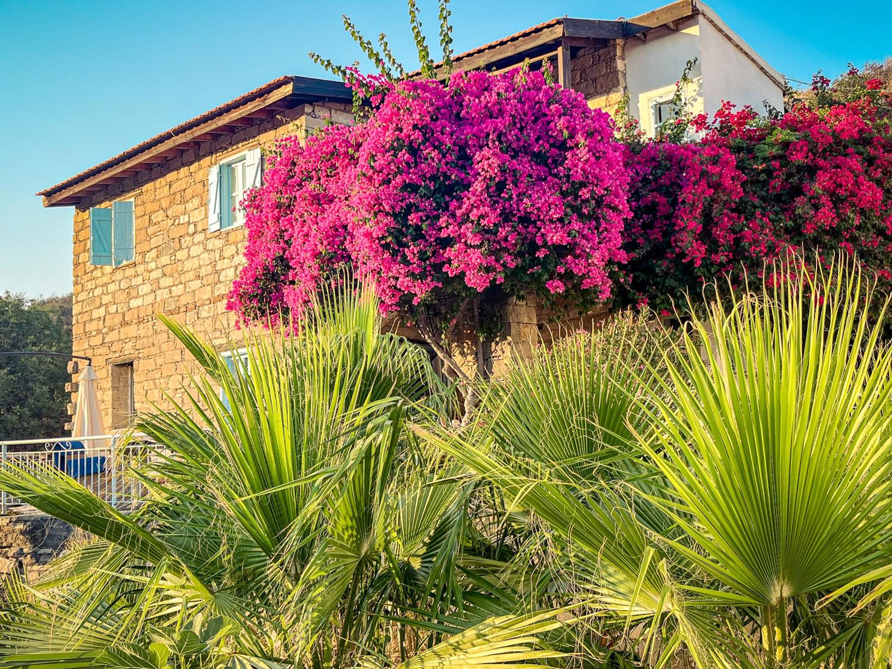 Two-Bedroom Apartment with Mountain View - Vasilikos House