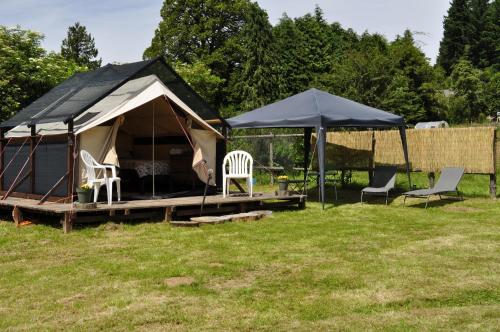 Tent photo 2