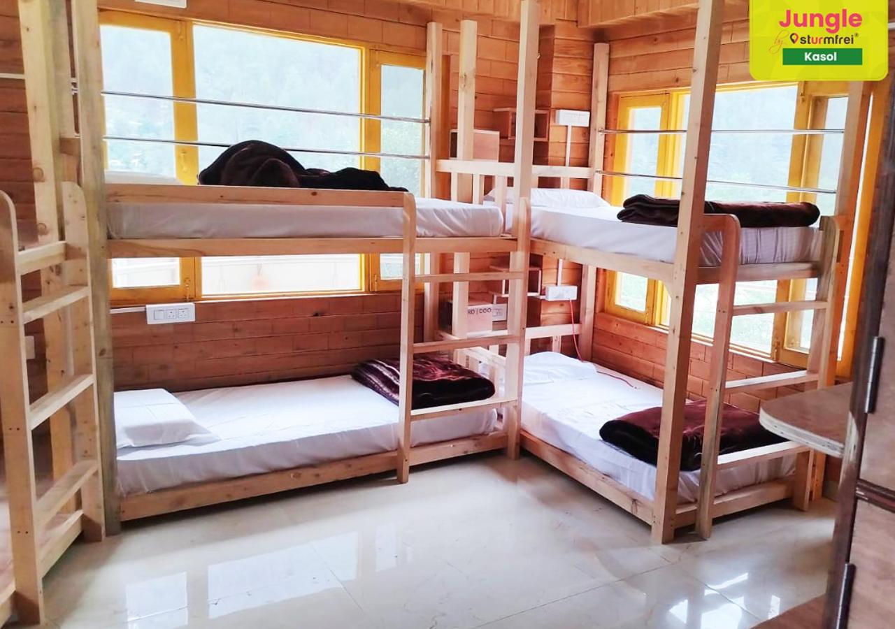 Bed in 8-Bed Mixed Dormitory Room photo 1