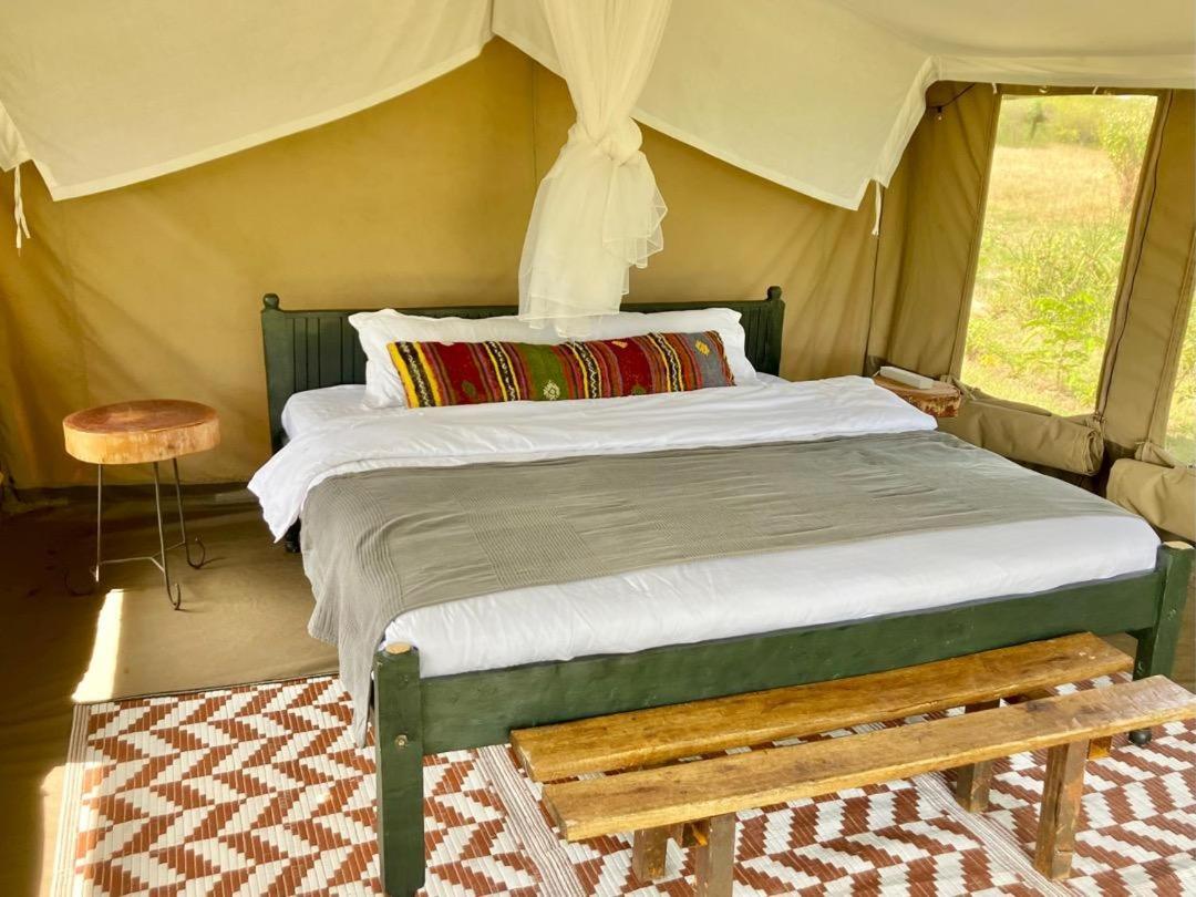 Comfort Tent photo 1