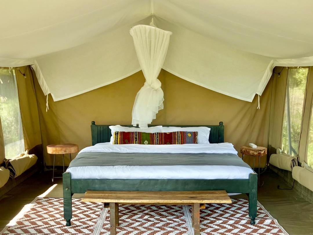 Comfort Tent photo 2