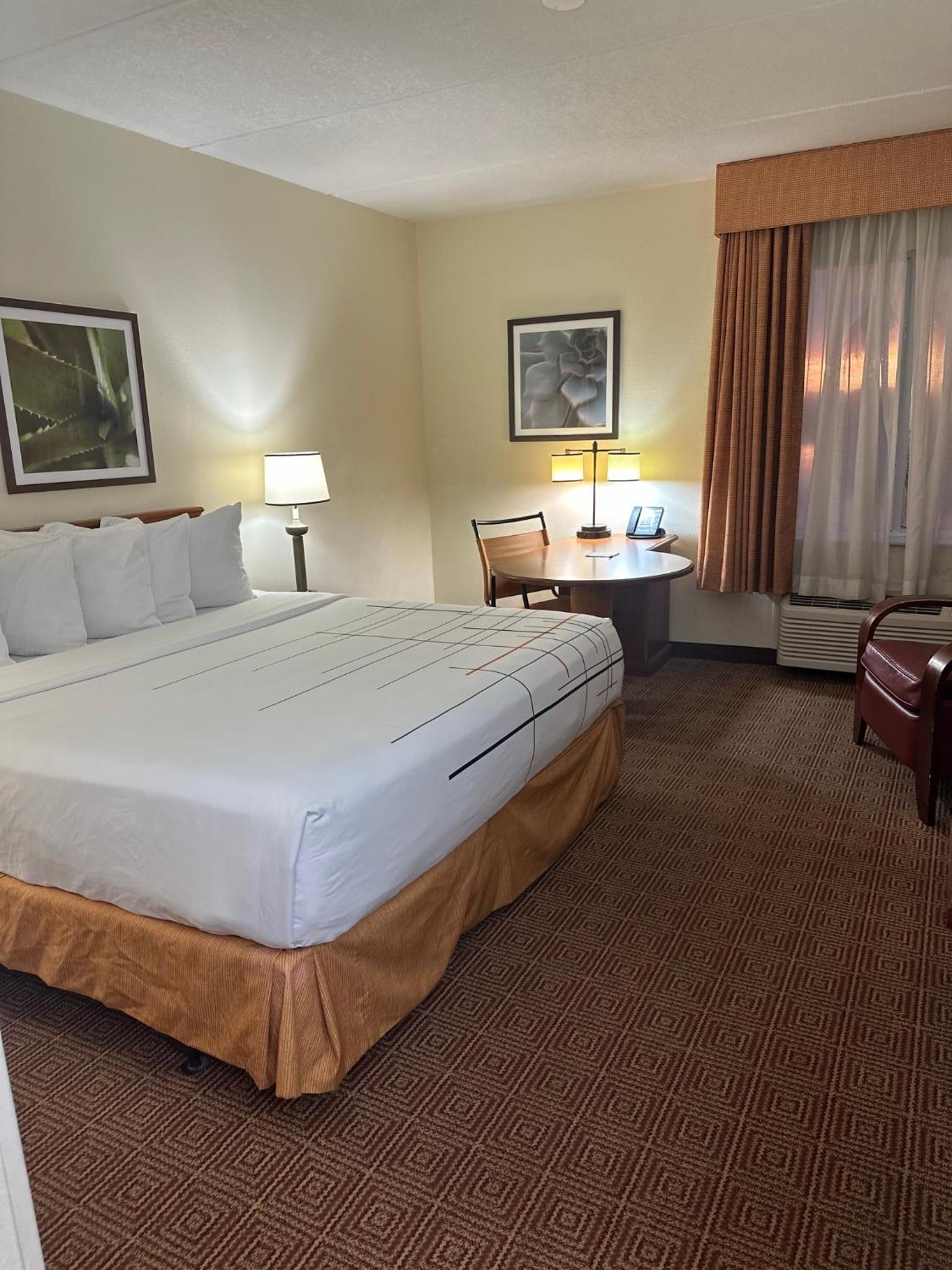 Deluxe King Room - Photo 1