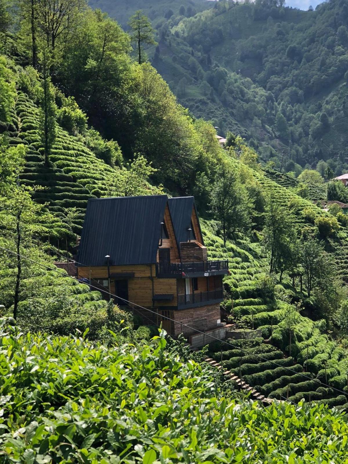 Chalet photo 2