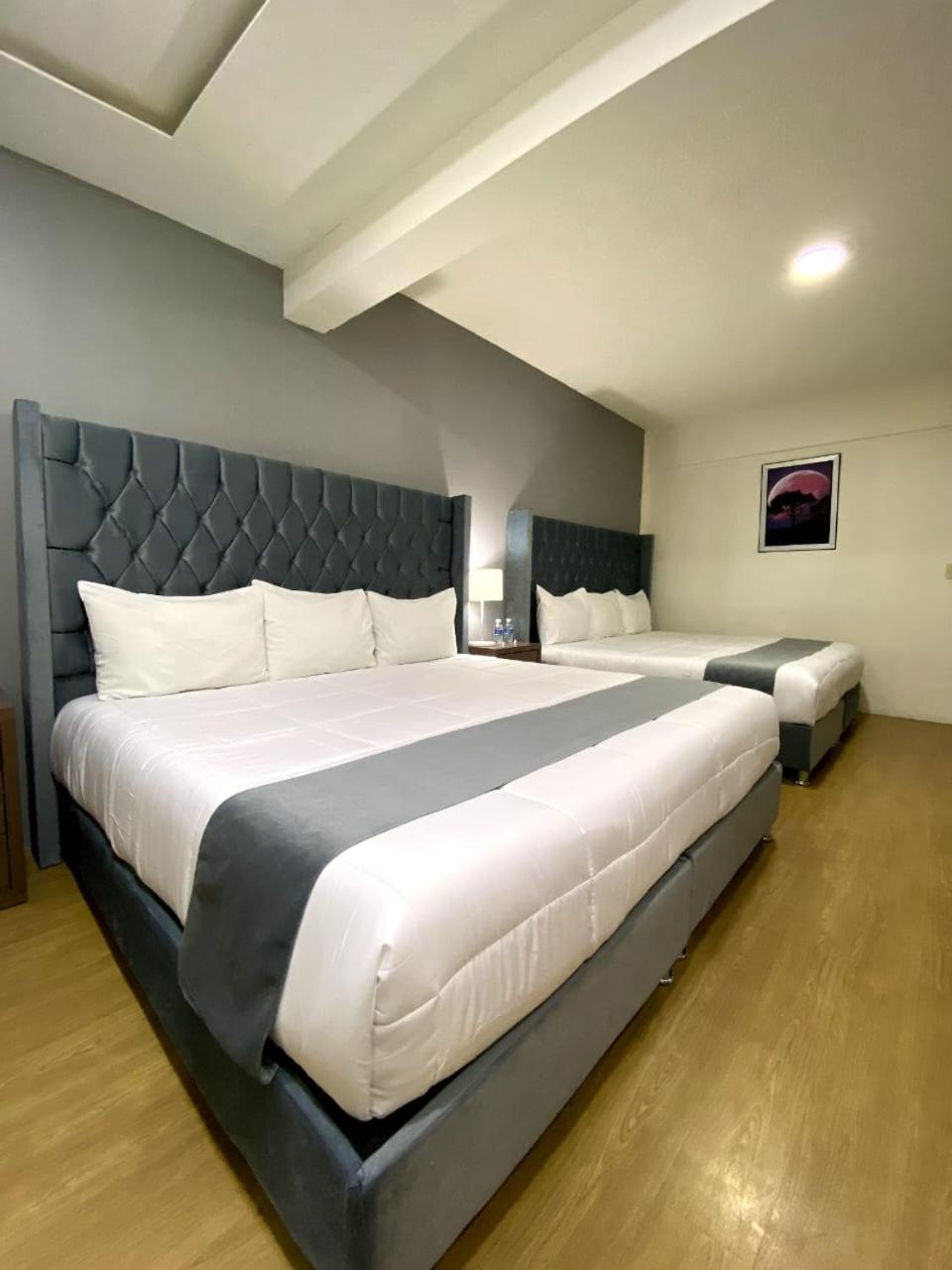Deluxe Double or Twin Room photo 2