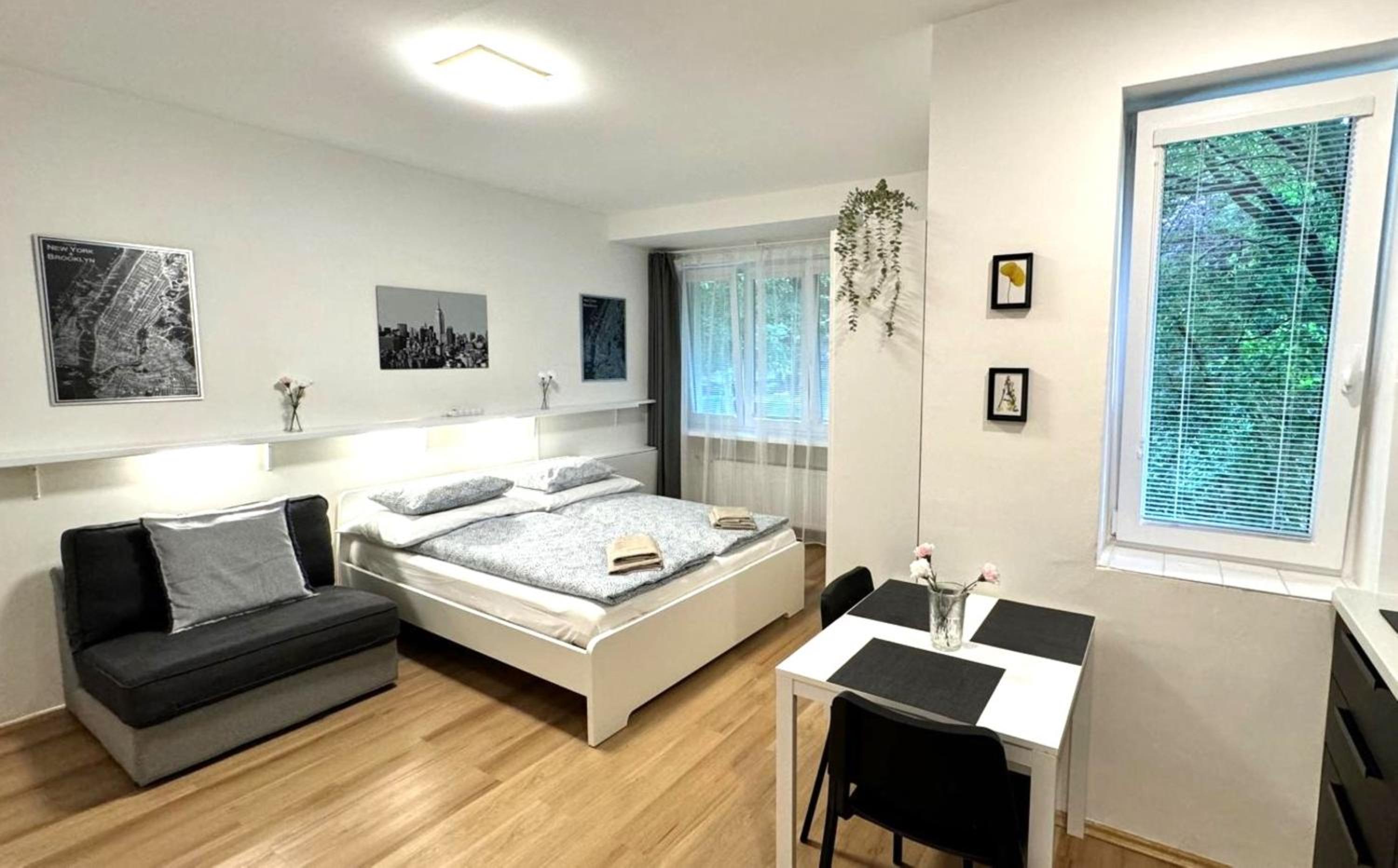 King Studio with Sofa Bed