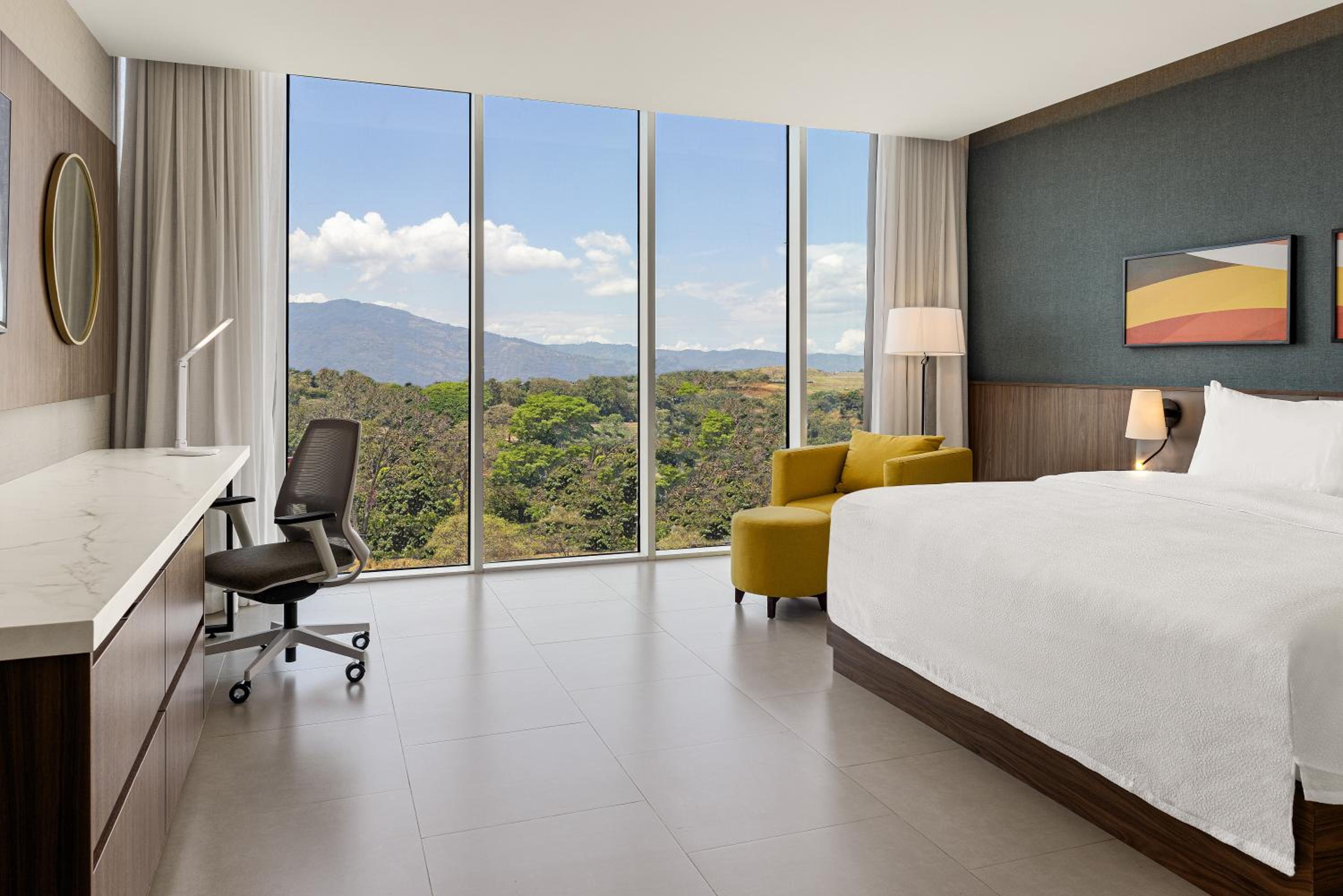King Room with Roll-In Shower and Mountain View - Mobility/Accessible   photo 1
