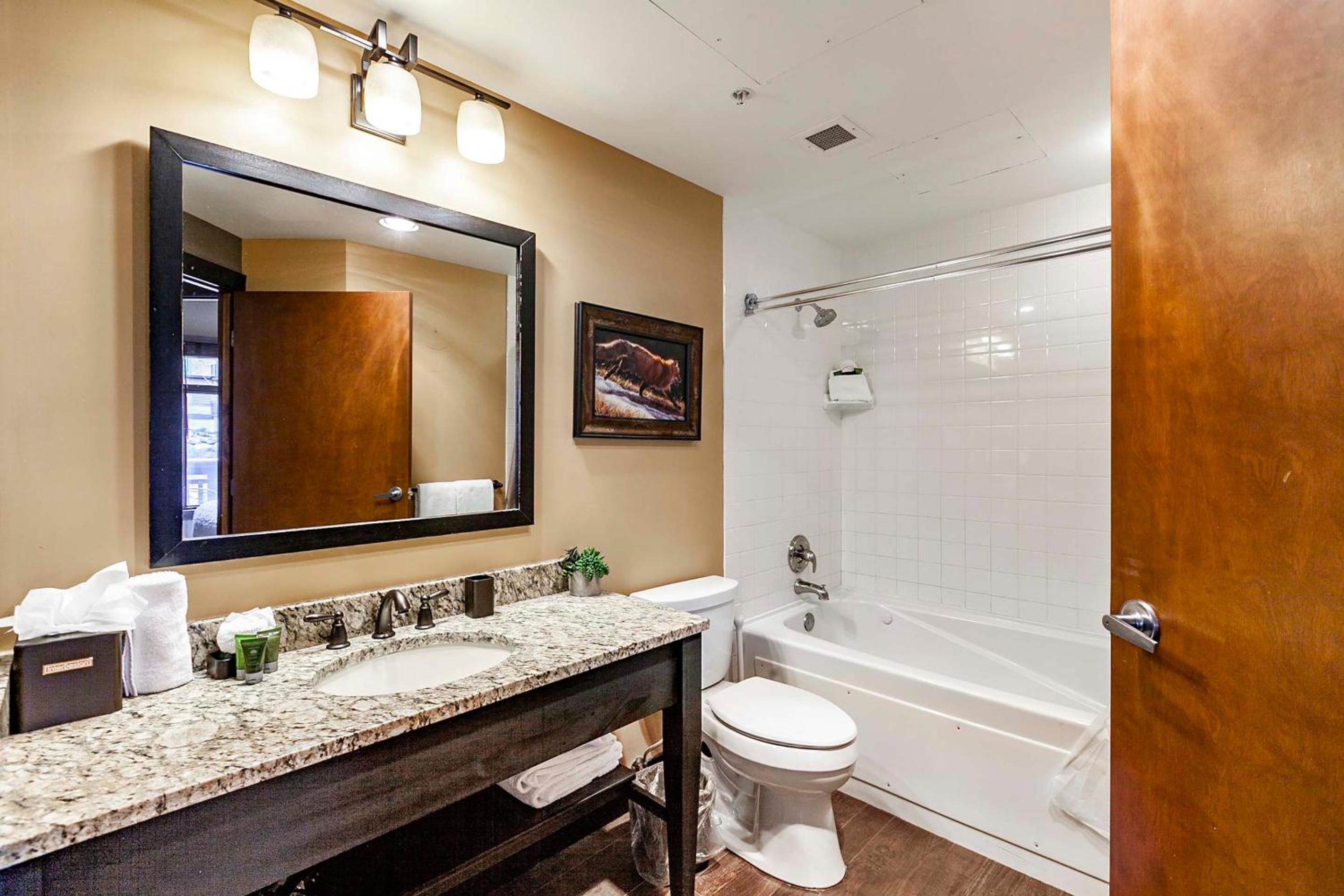 One-Bedroom Premium Apartment - Photo 10