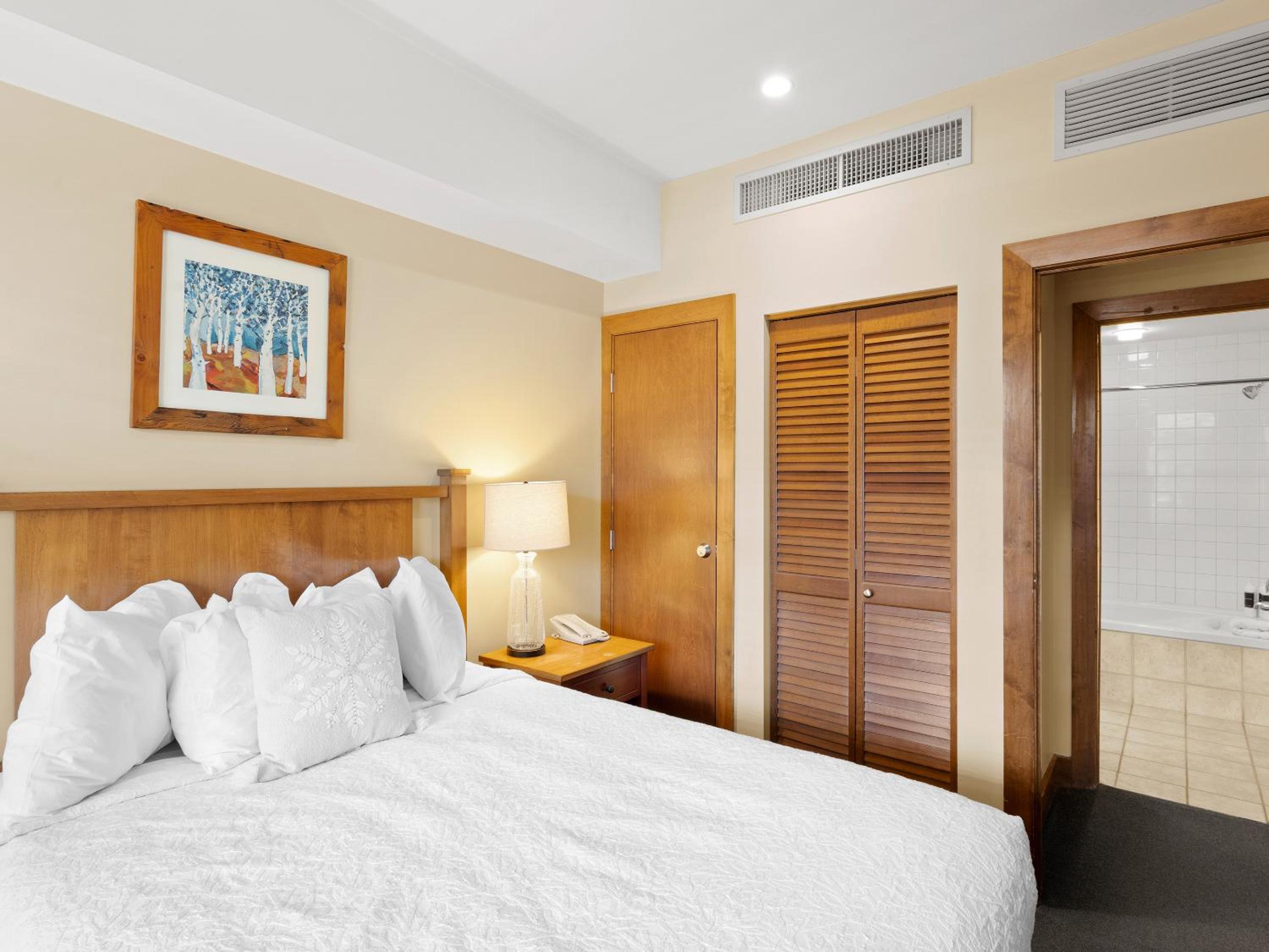 One-Bedroom Premium Apartment - Photo 13