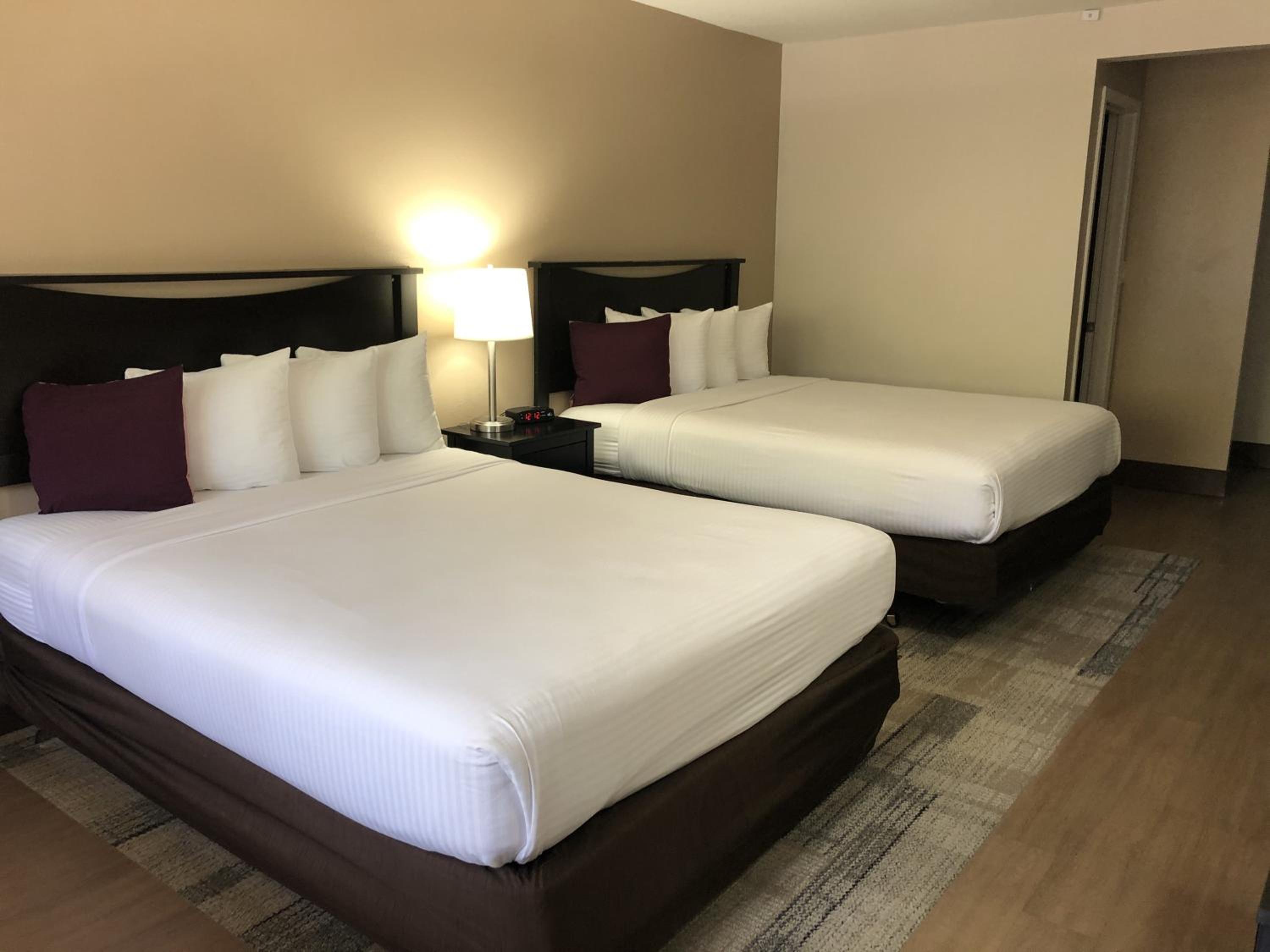 Suite with One Bathroom - Photo 2