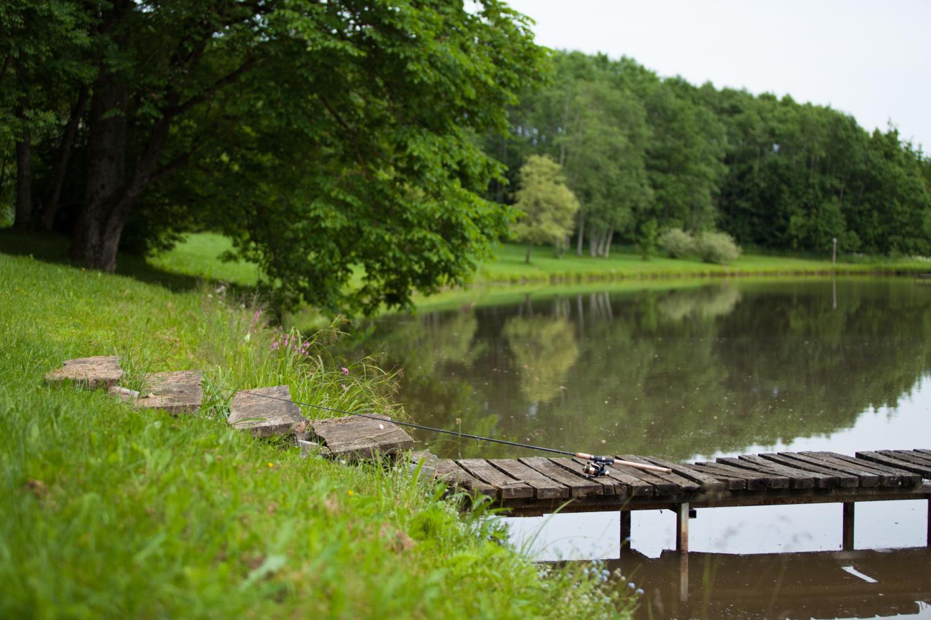 Holiday Home with Sauna - Photo 8