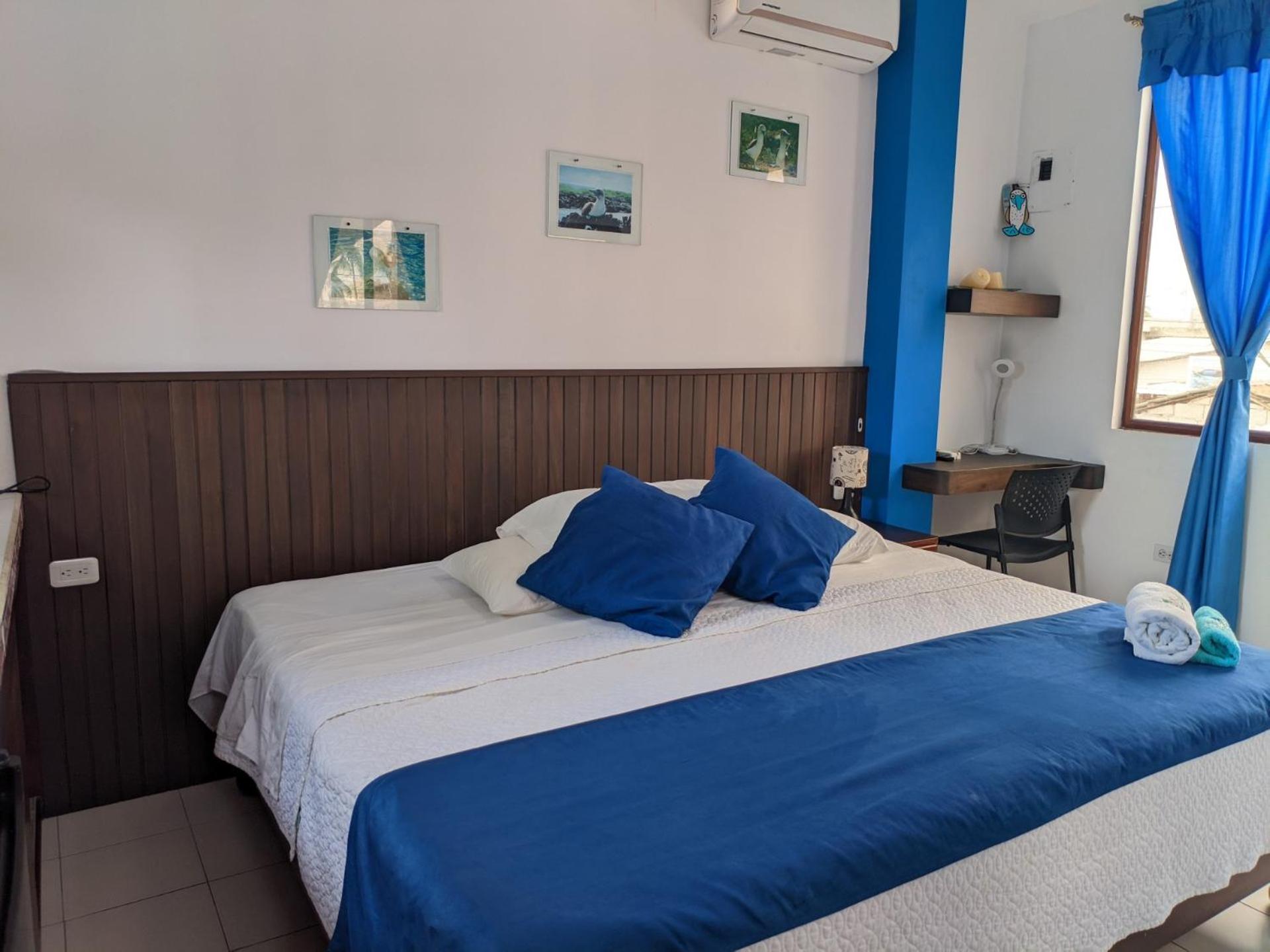 Double or Twin Room photo 1