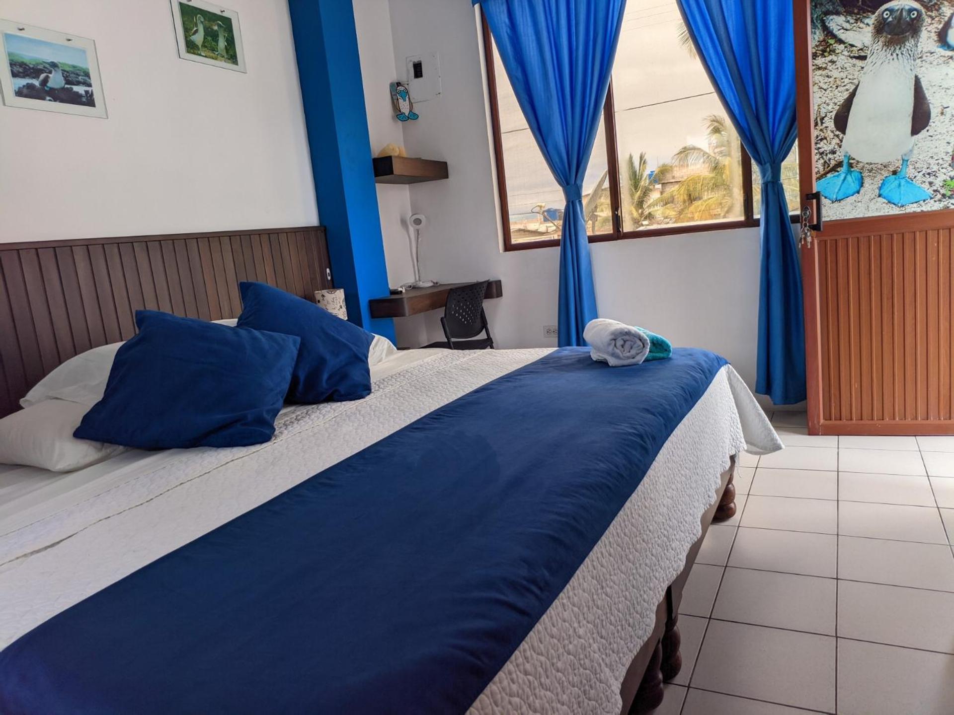 Double or Twin Room photo 3