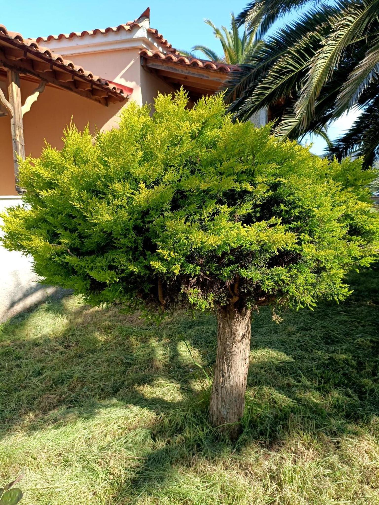 Vacation Home photo 2