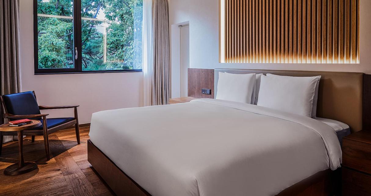 Pine Suite - Photo 5