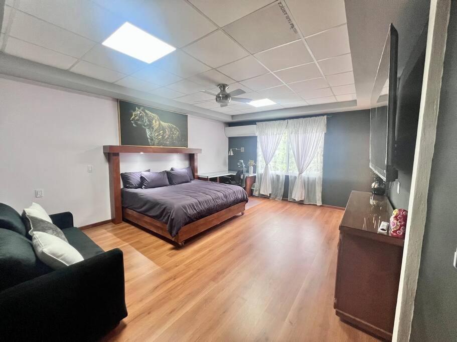 One-bedroom Loft Apartment  photo 1
