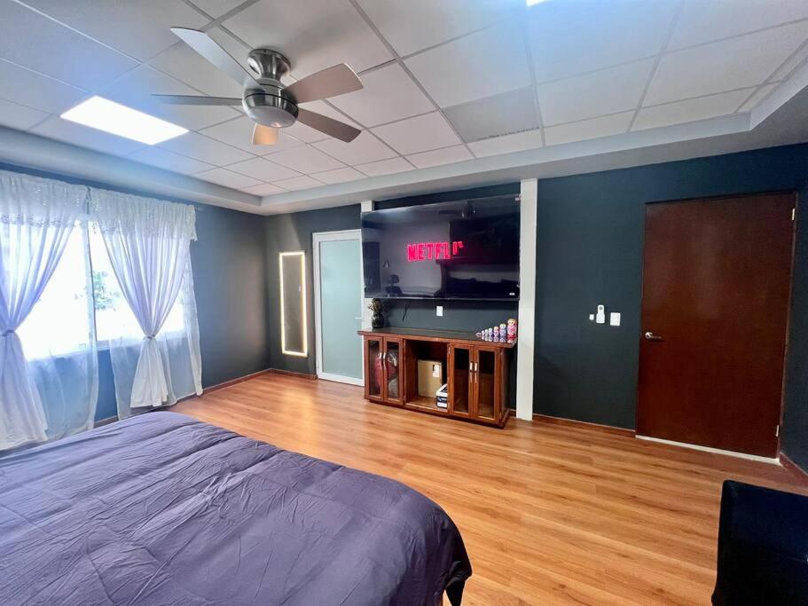One-bedroom Loft Apartment  photo 3
