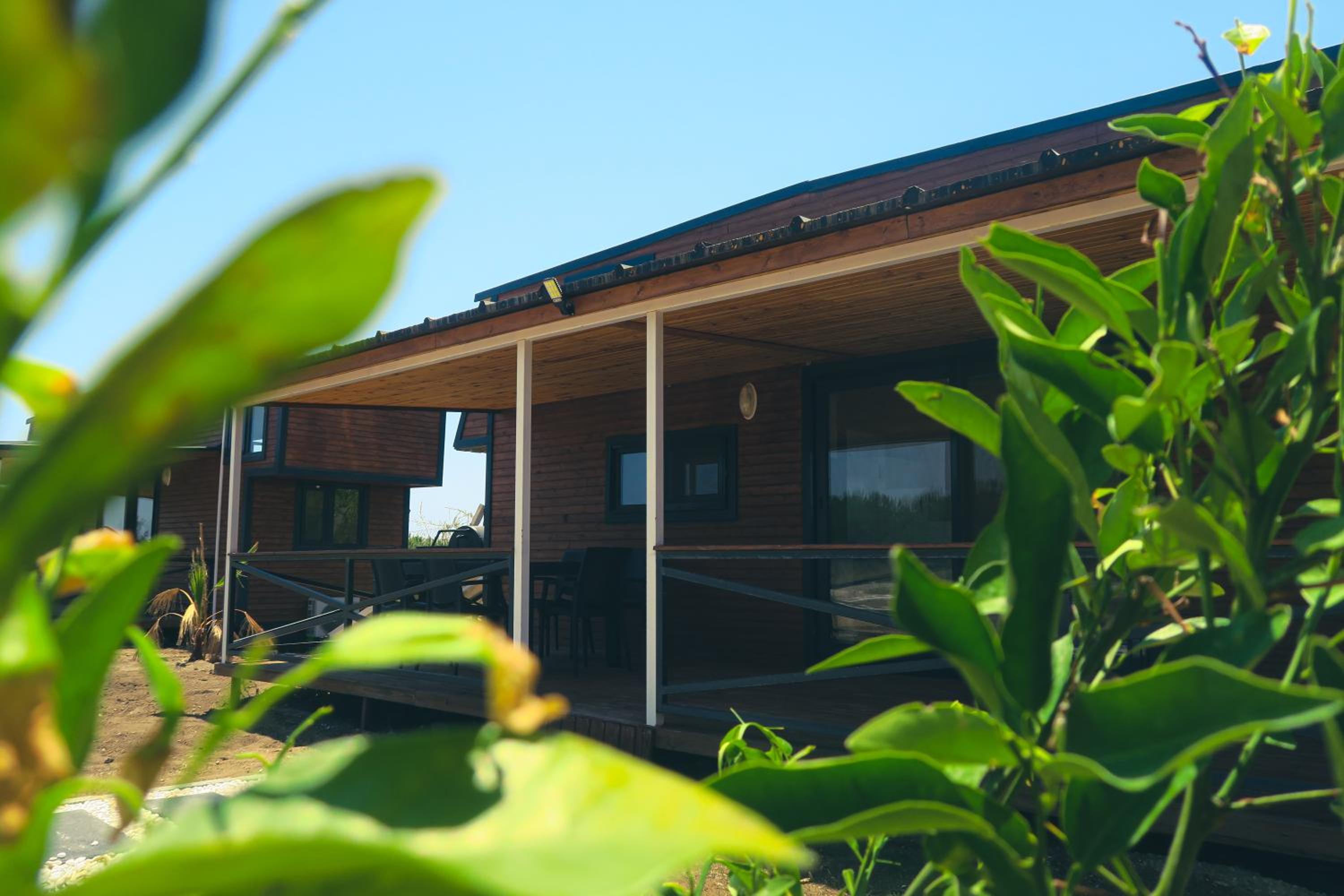 Mobile Home photo 2