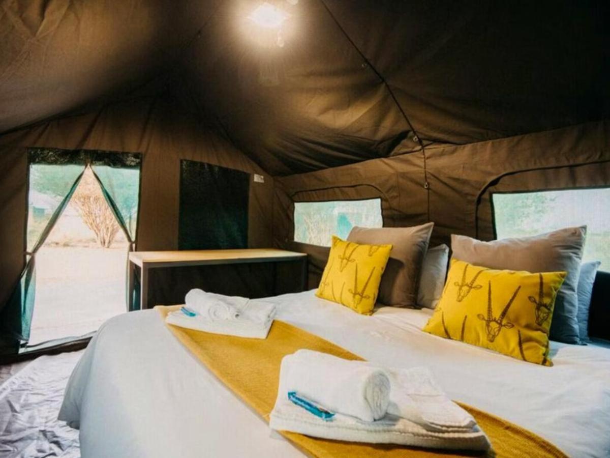 Luxury Tent photo 1