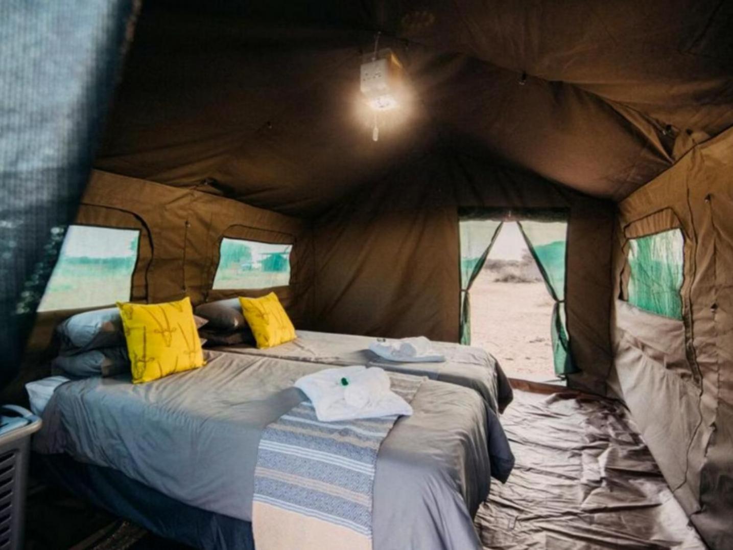 Deluxe Tent photo 1