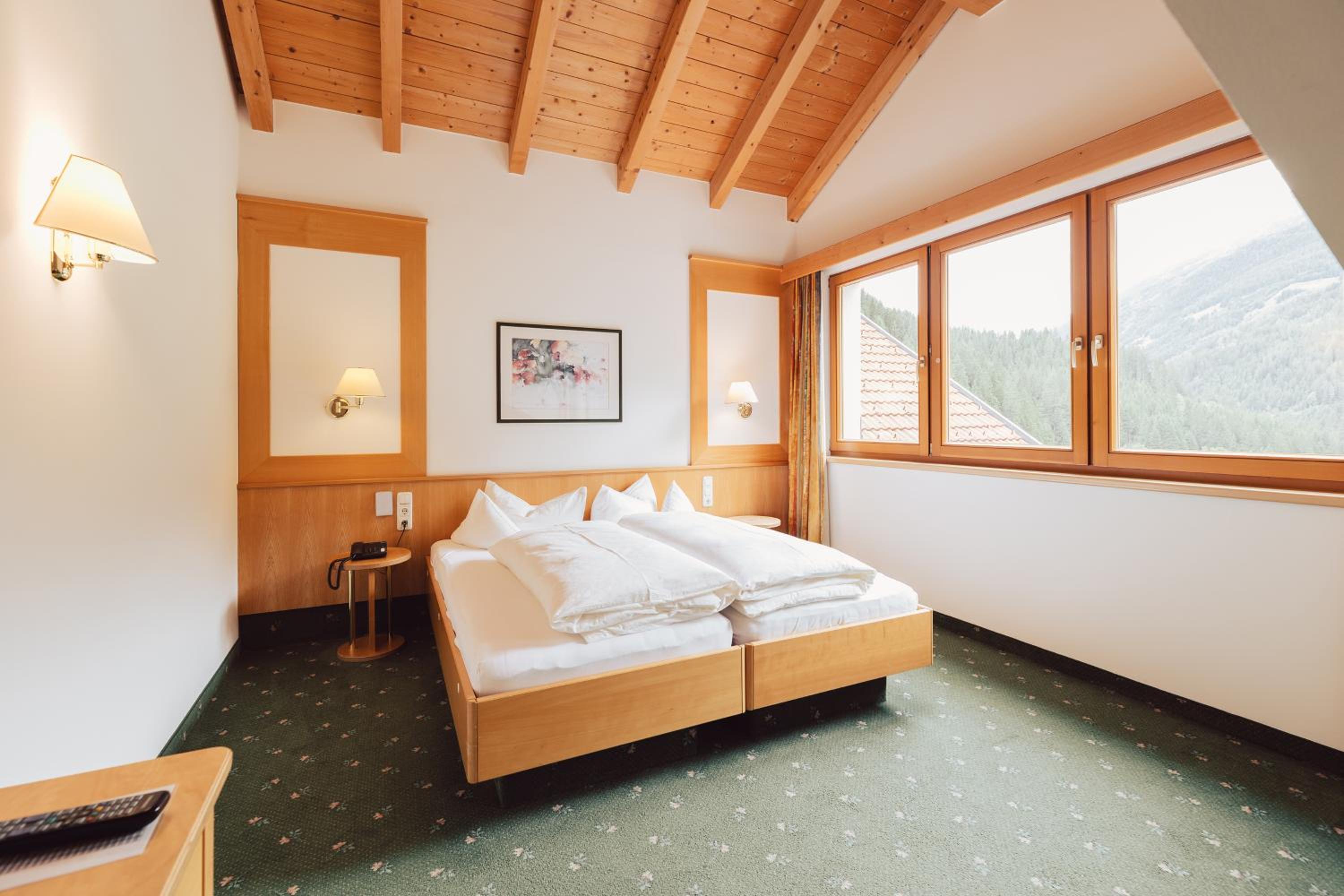 Double Room with Mountain View photo 3